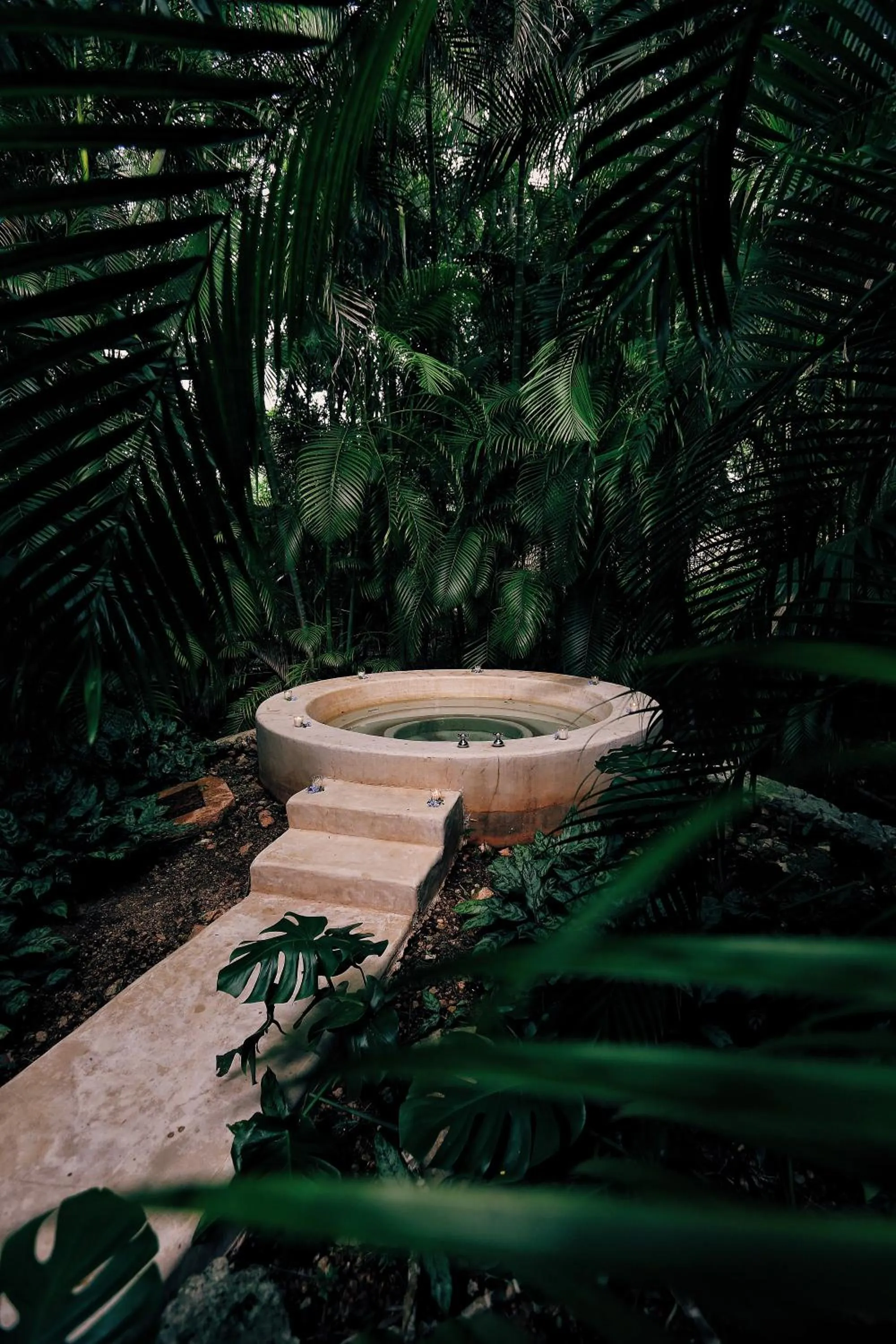Natural landscape in Hacienda San Jose Cholul