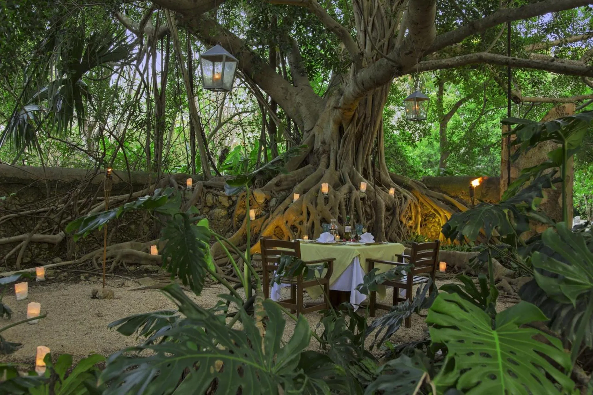 Restaurant/places to eat in Hacienda San Jose Cholul