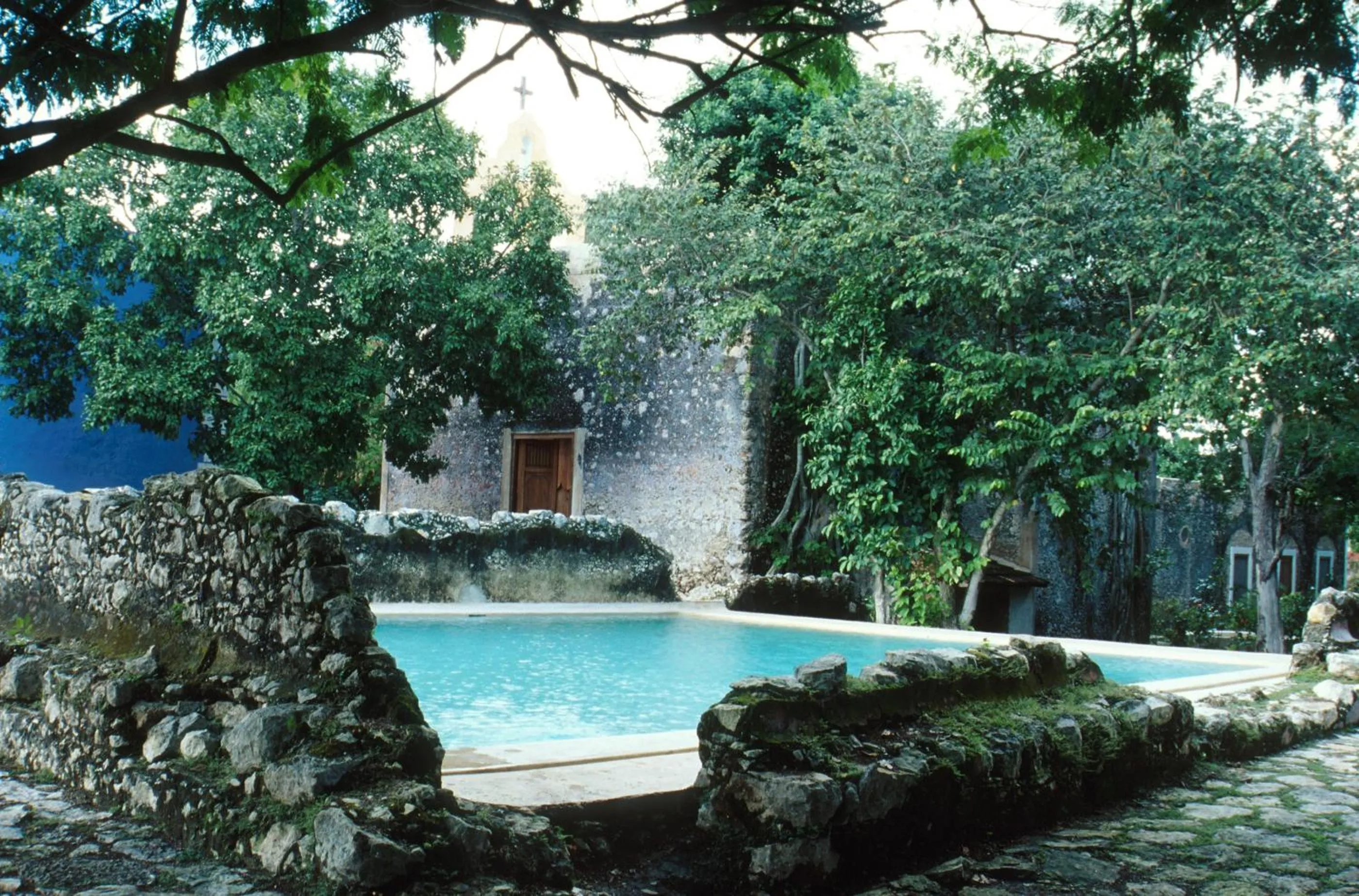 Natural landscape in Hacienda San Jose Cholul