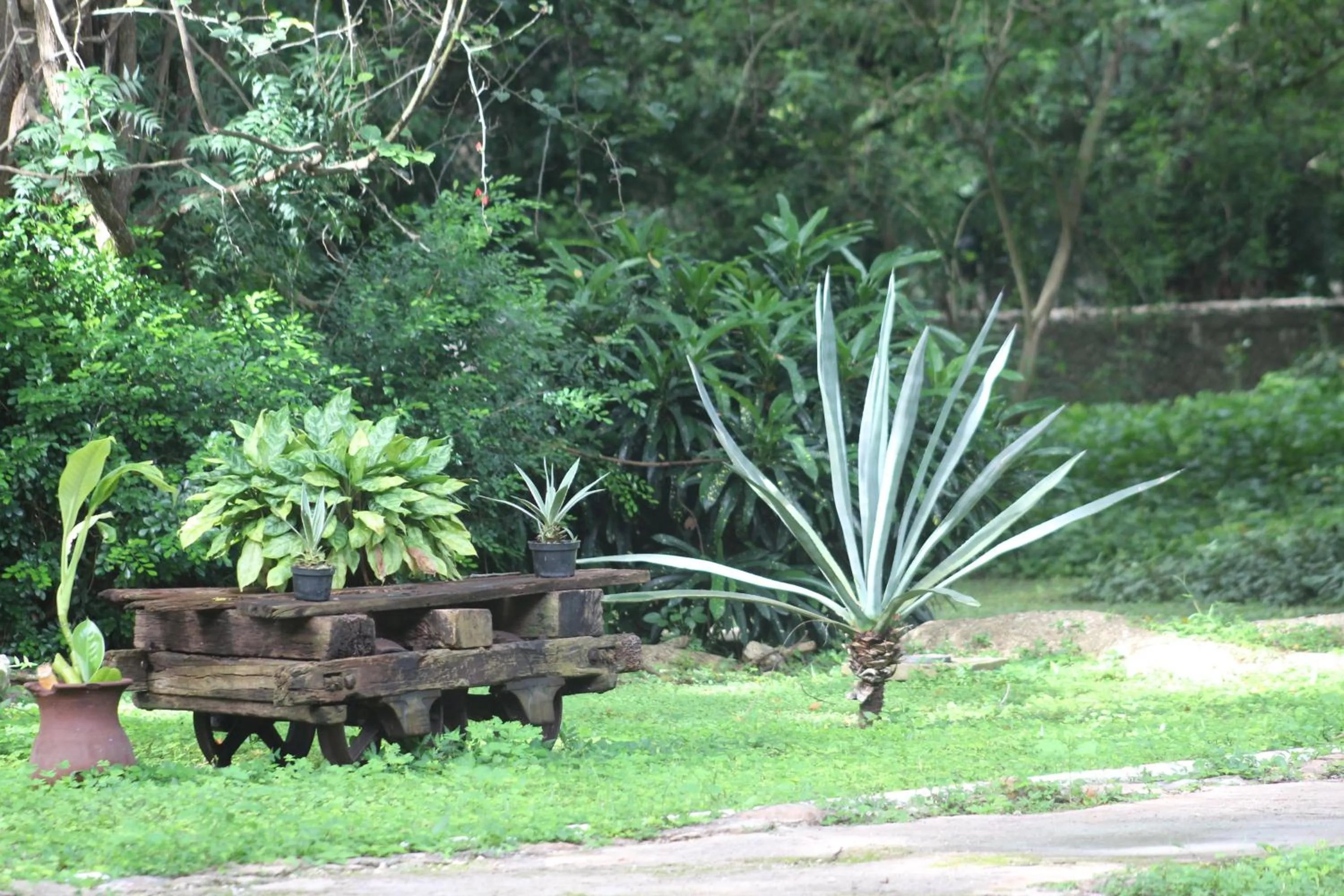 Other in Hacienda San Jose Cholul