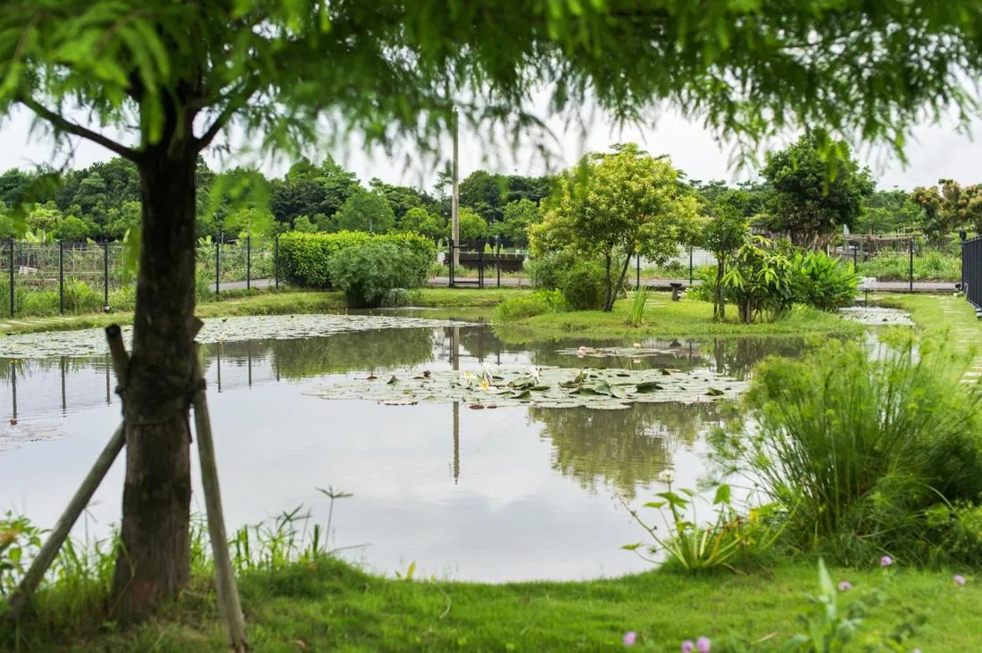 Garden view in Hiten Villa