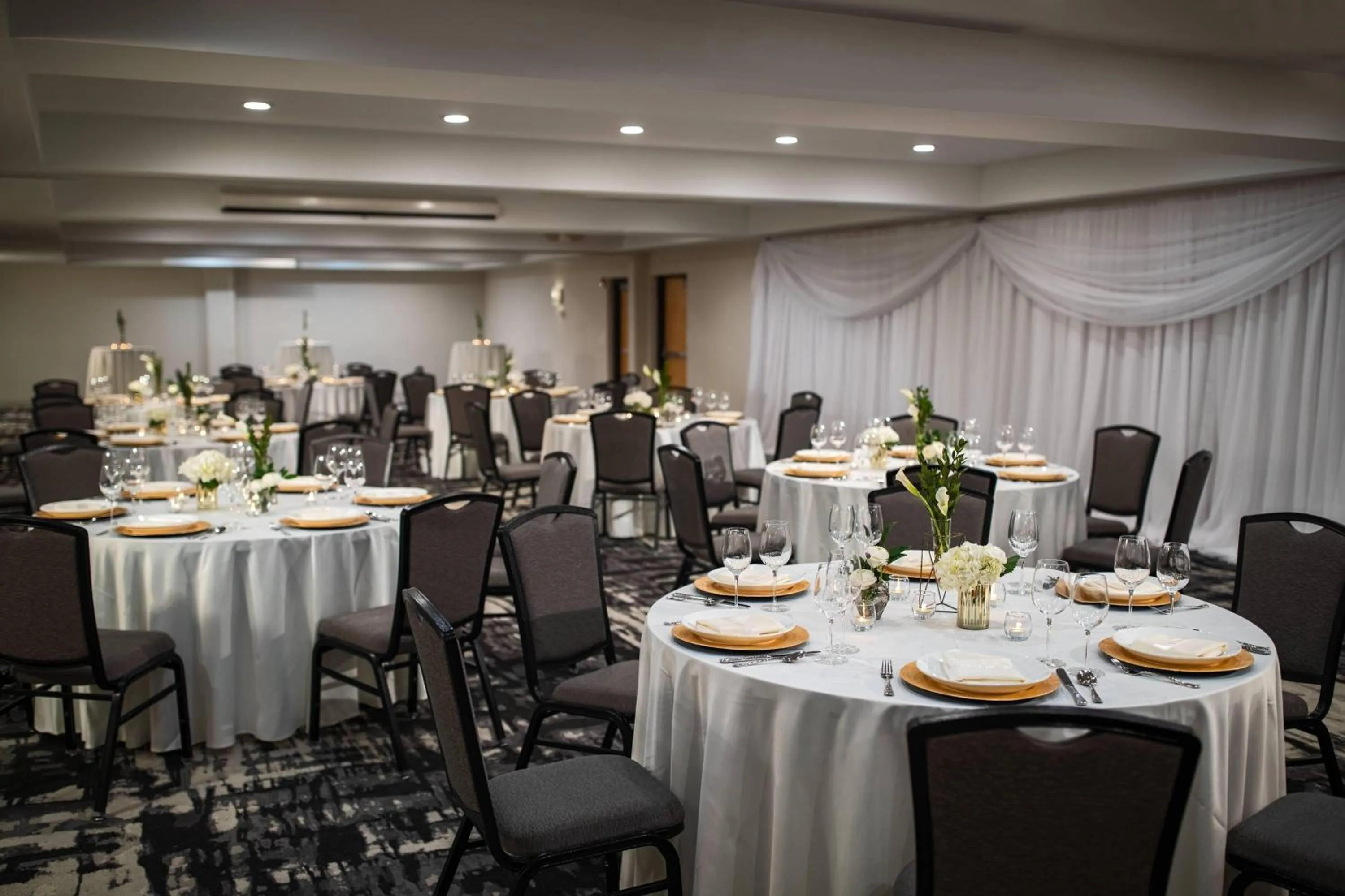 Banquet/Function facilities in Renaissance Minneapolis Bloomington Hotel