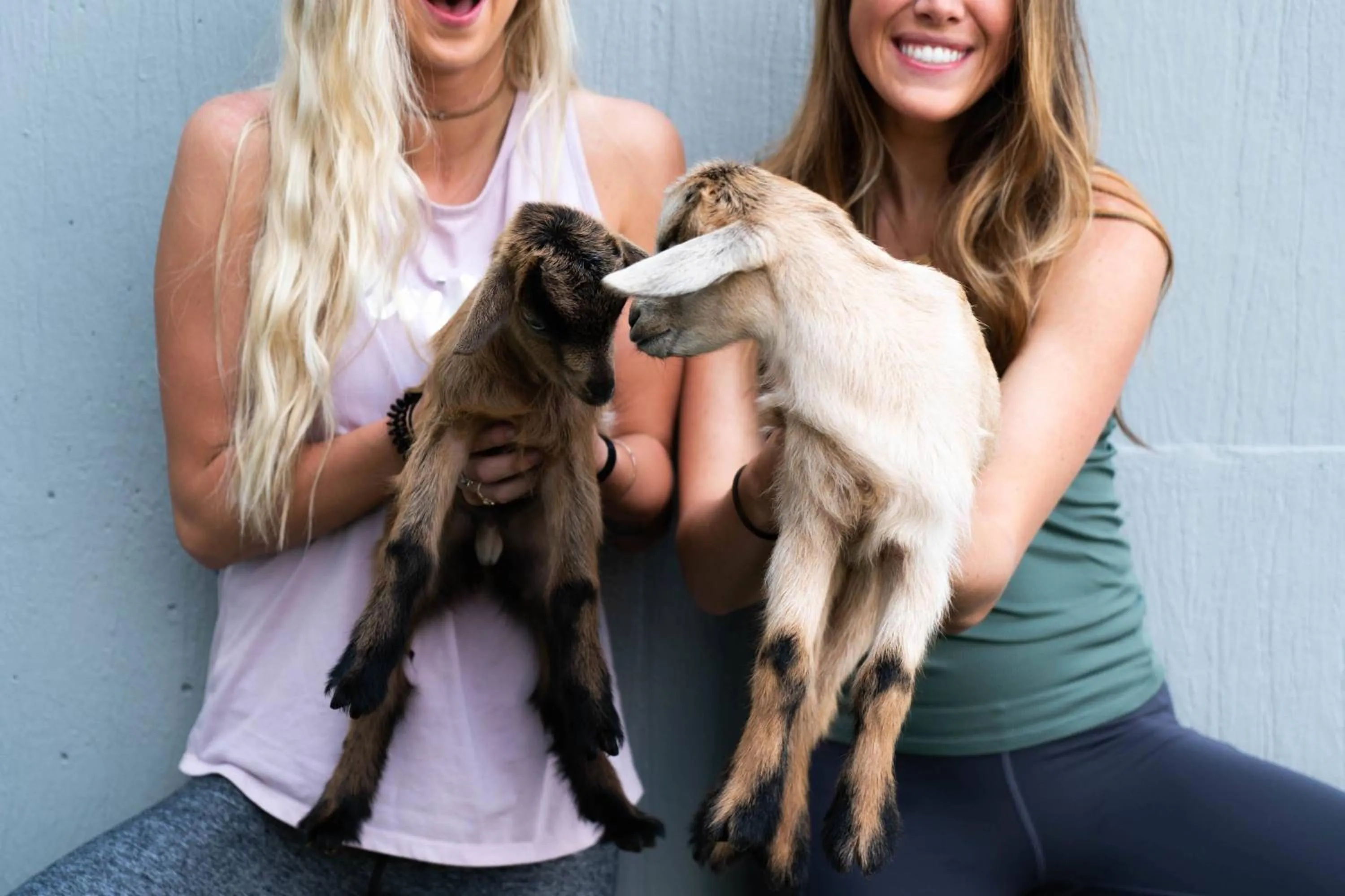 Other in JW Marriott Nashville