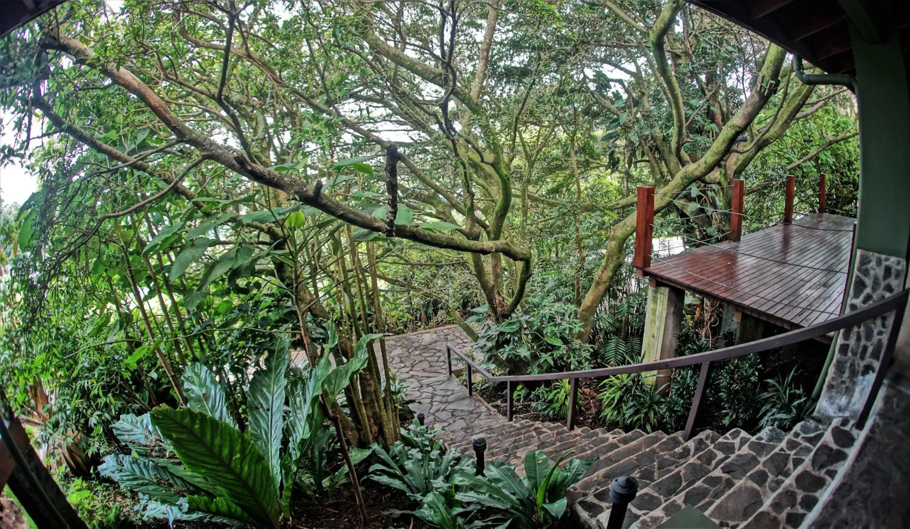 Garden in El Establo Mountain Hotel