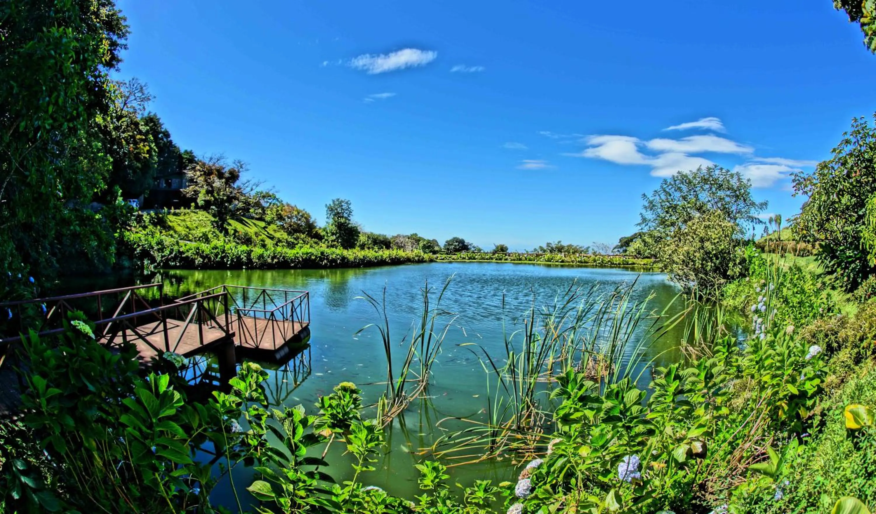 Natural landscape in El Establo Mountain Hotel