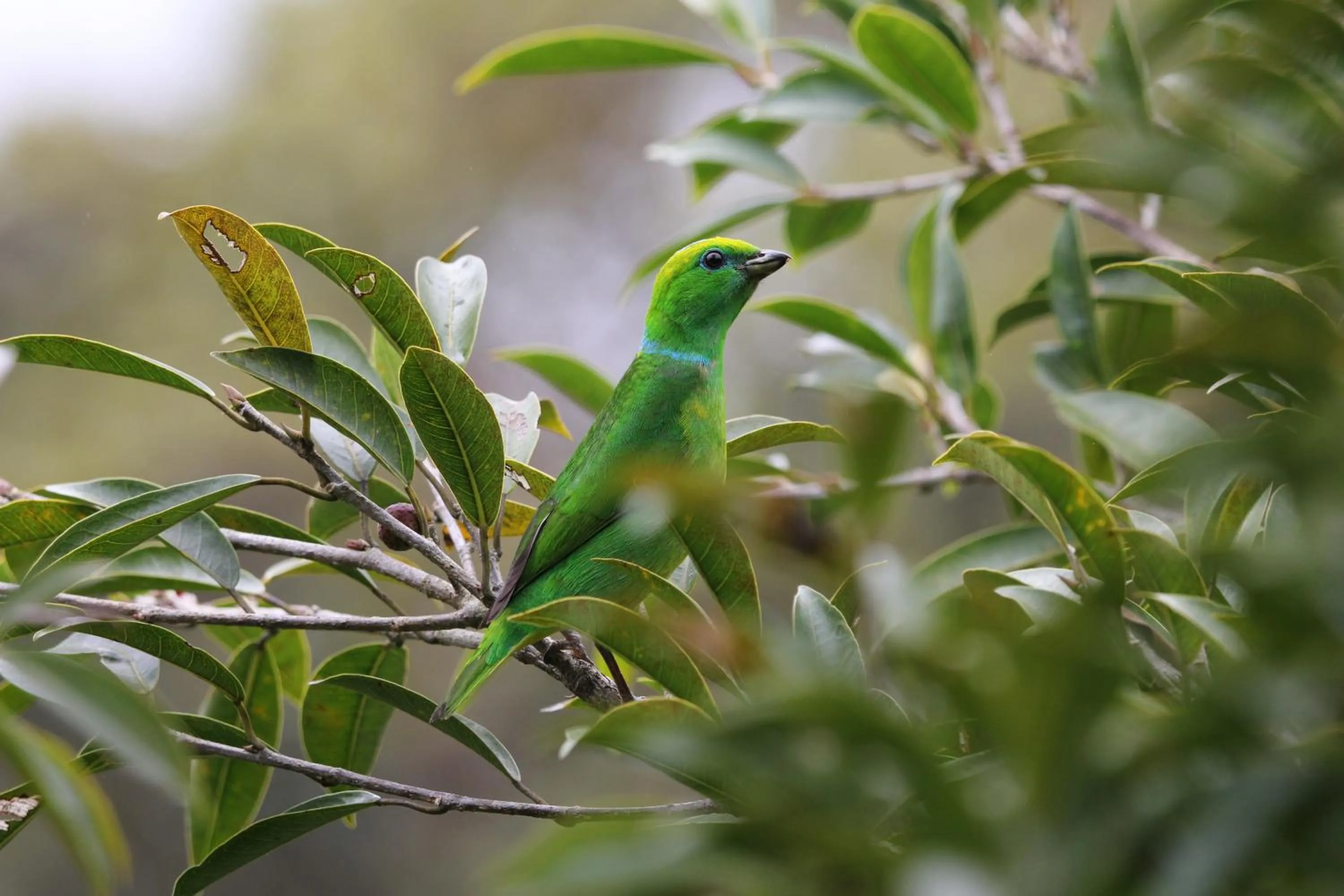 Off site in El Establo Mountain Hotel