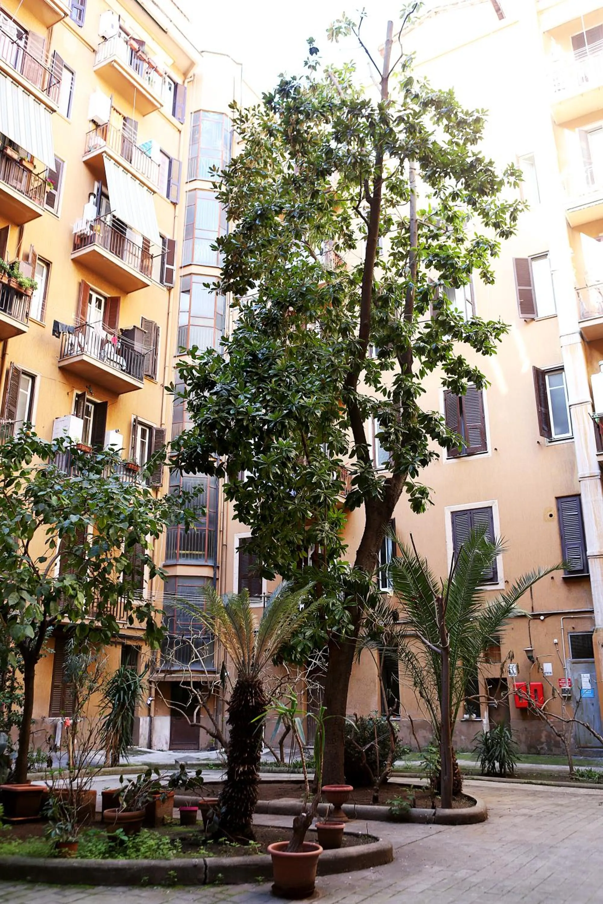 Property building in ImeraRooms