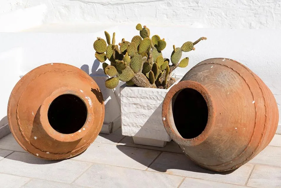 Property building in Zannis Hotel