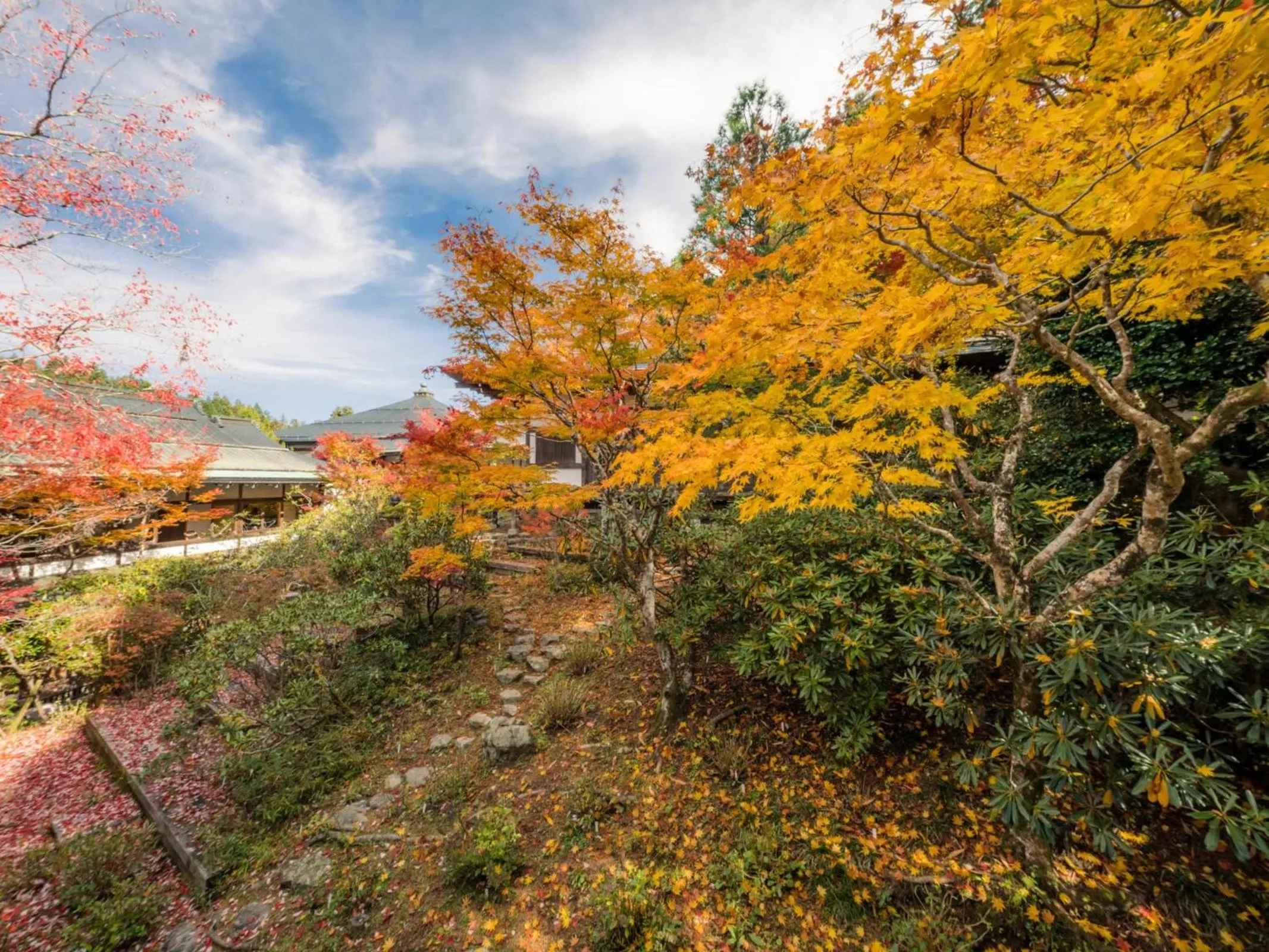 Natural landscape in Koyasan Shukubo Ekoin