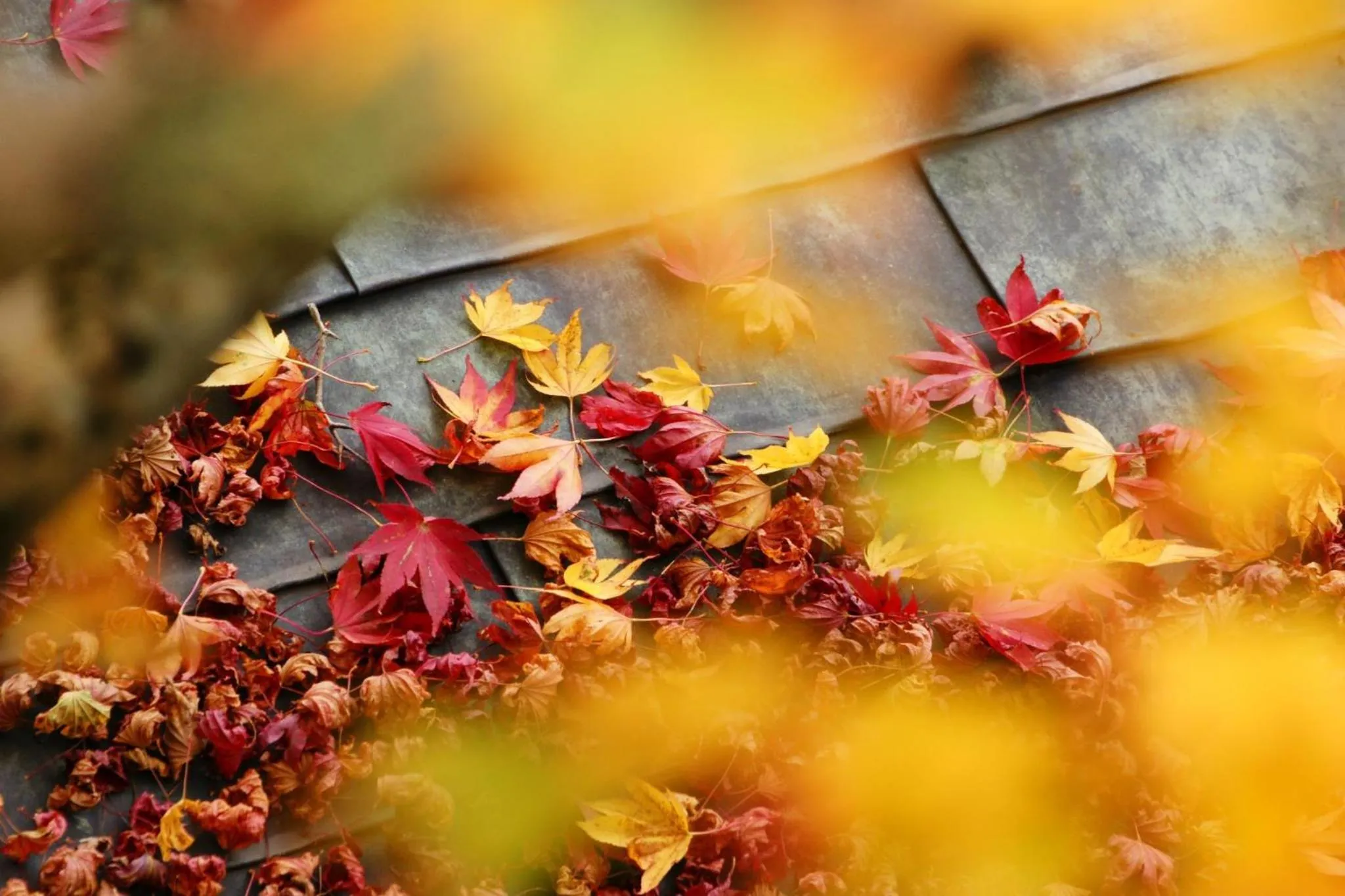 Other in Koyasan Shukubo Ekoin