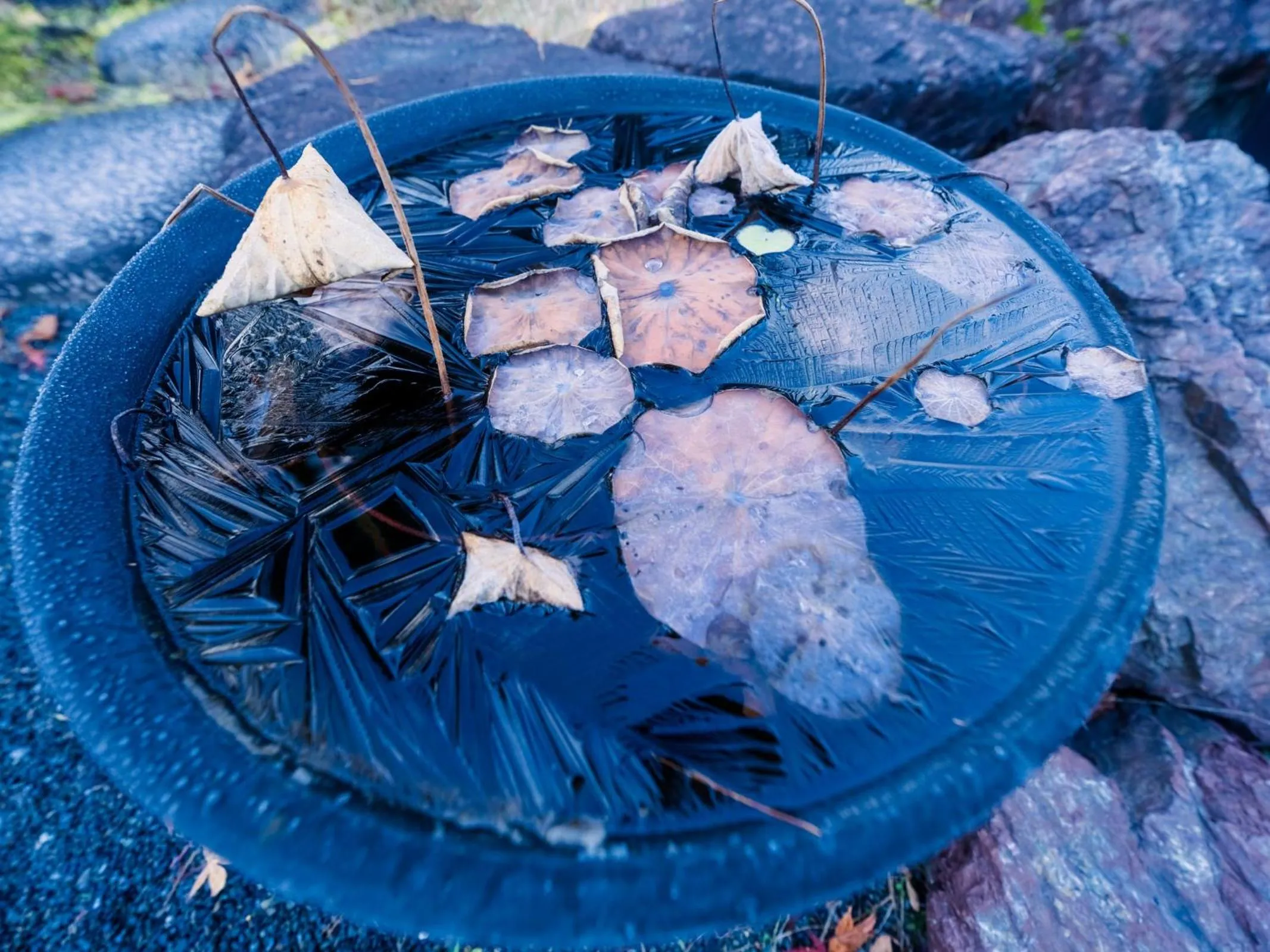 Decorative detail in Koyasan Shukubo Ekoin