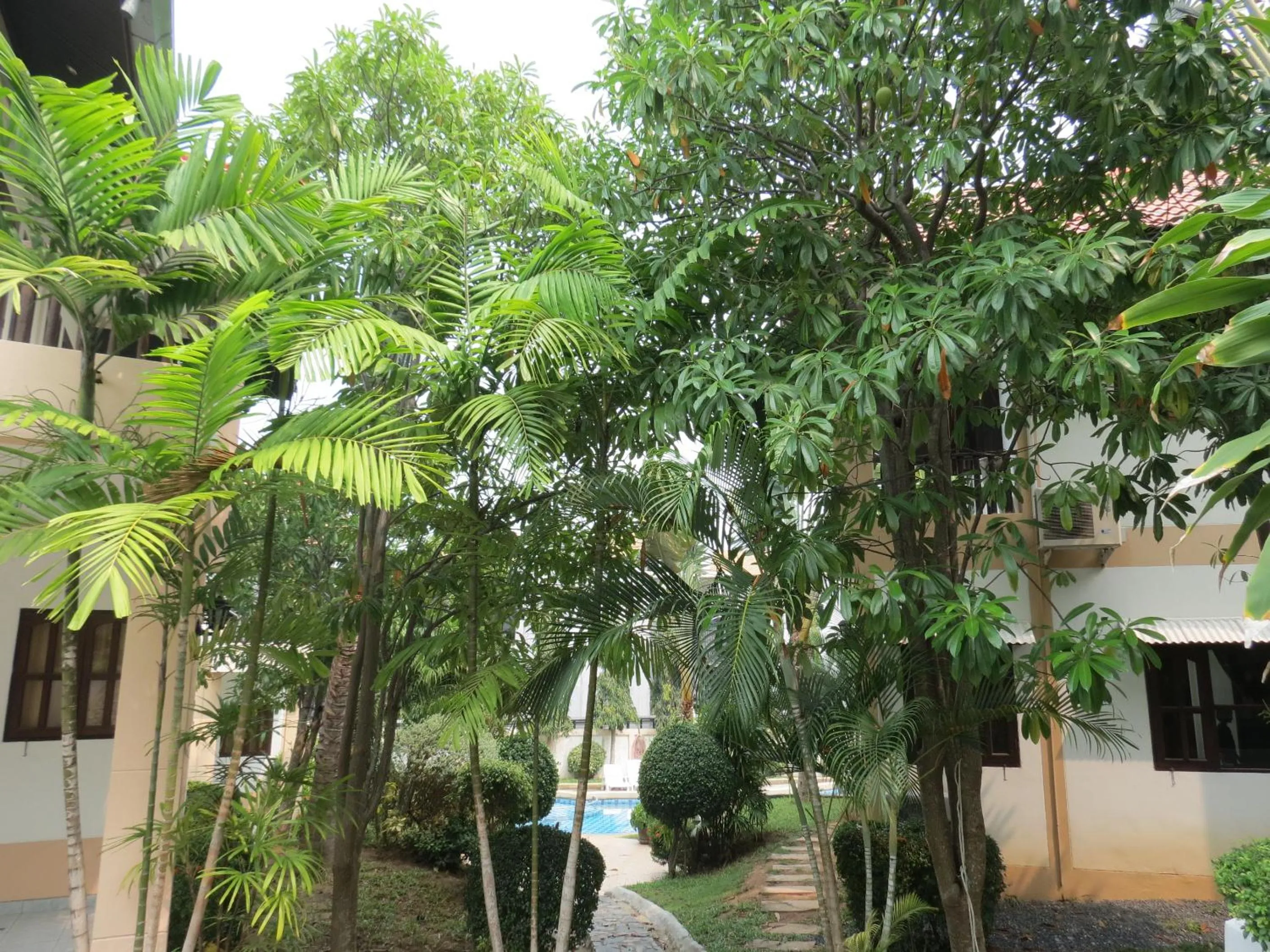 Natural landscape in Baan Jasmin Village