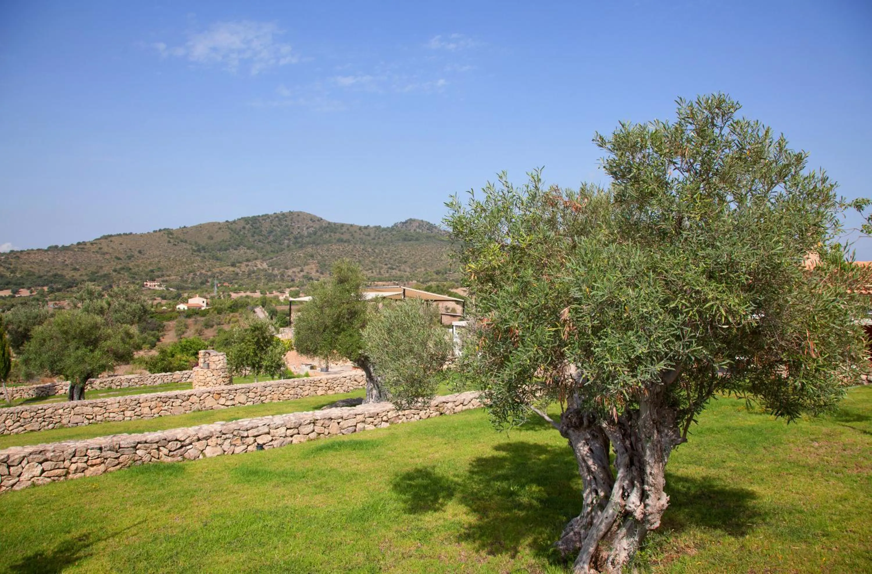 Garden in Agroturismo Ses Cases de Fetget