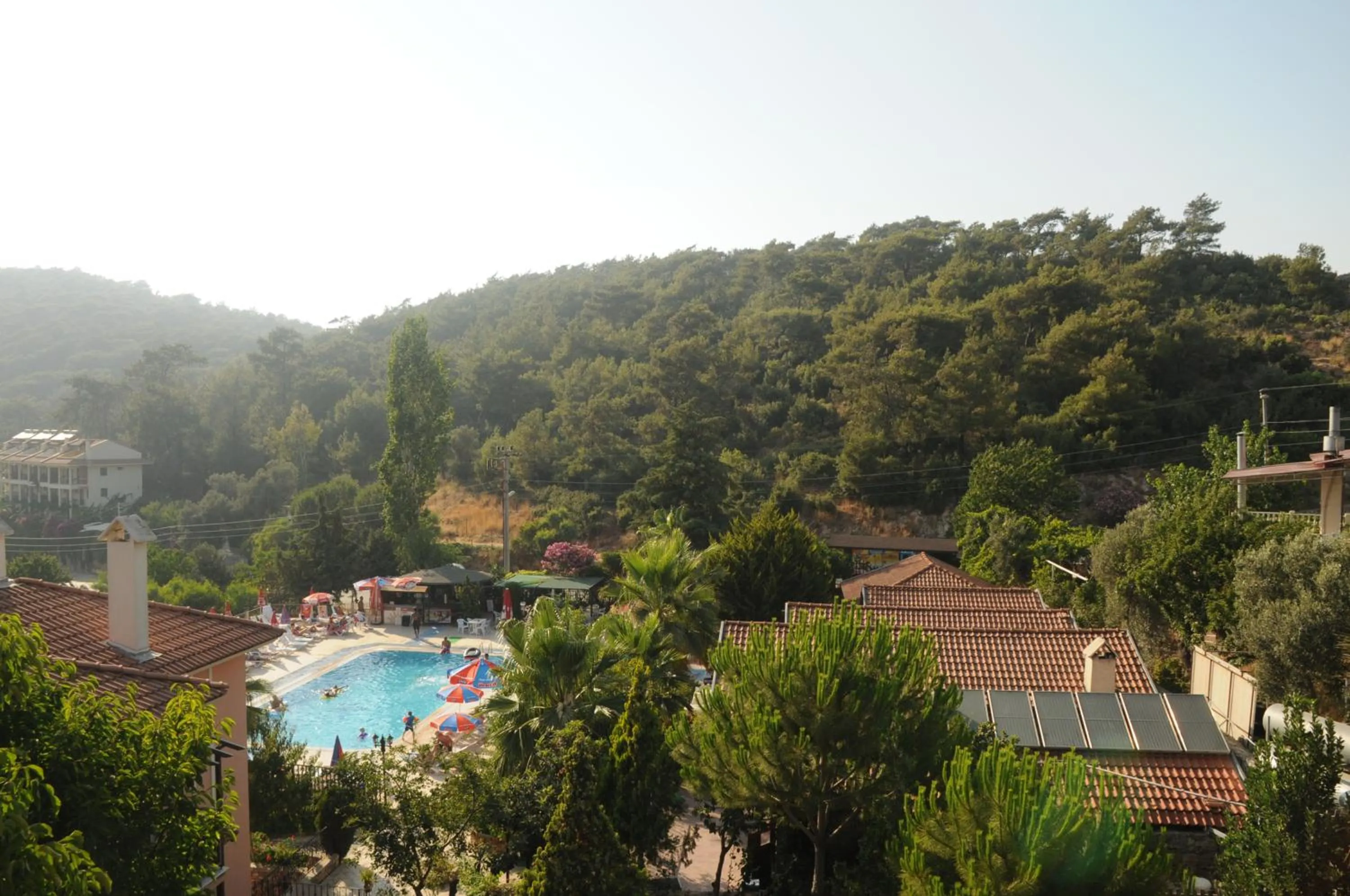 Summer in Club Pink Palace Hotel