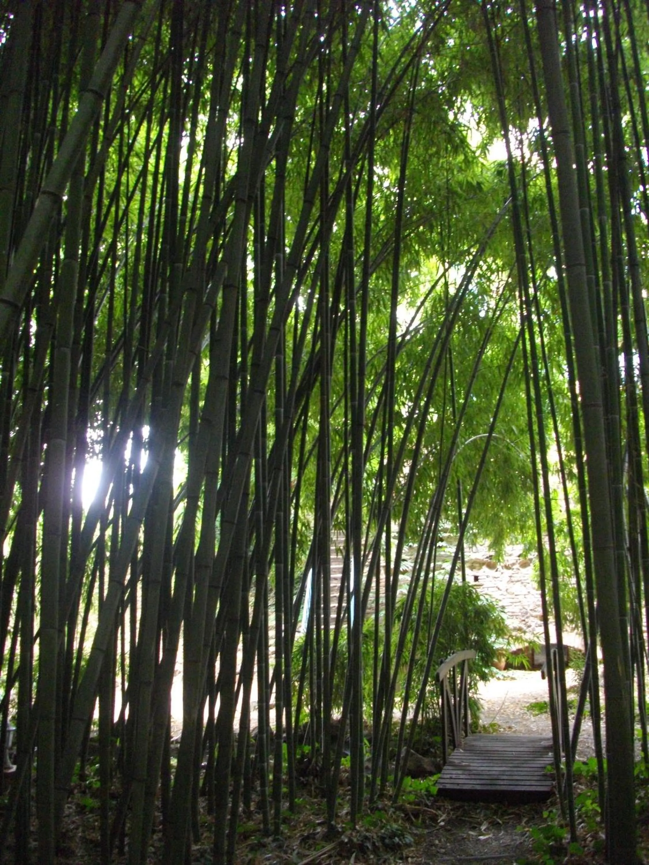 Garden in La Verrerie