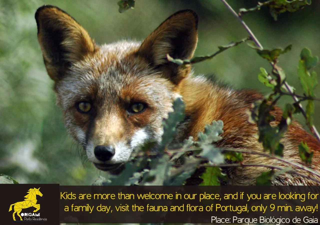 Origami Porto Residência & Hostel