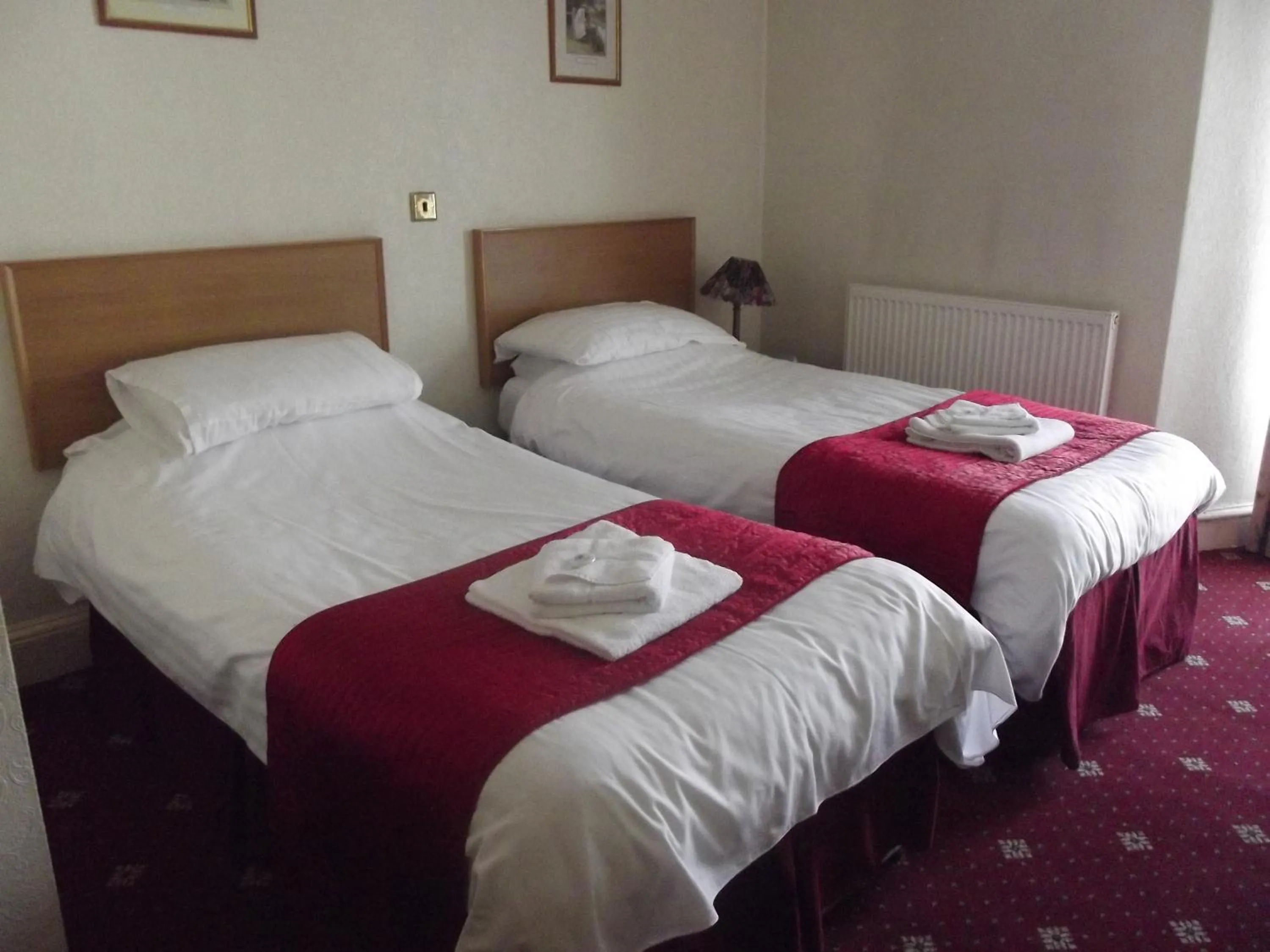 Bed in Plas Coch Hotel Ltd