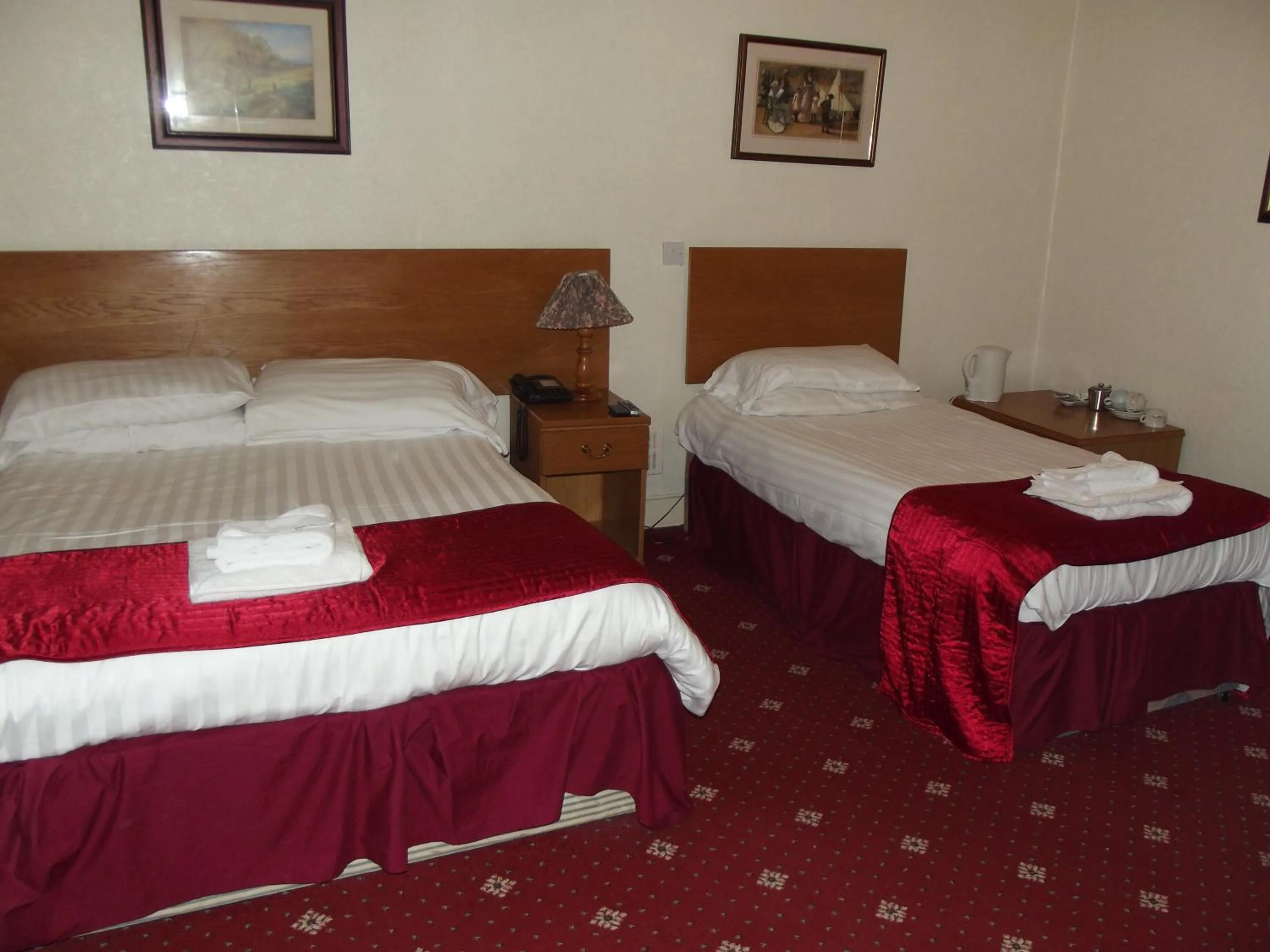 Bed in Plas Coch Hotel Ltd