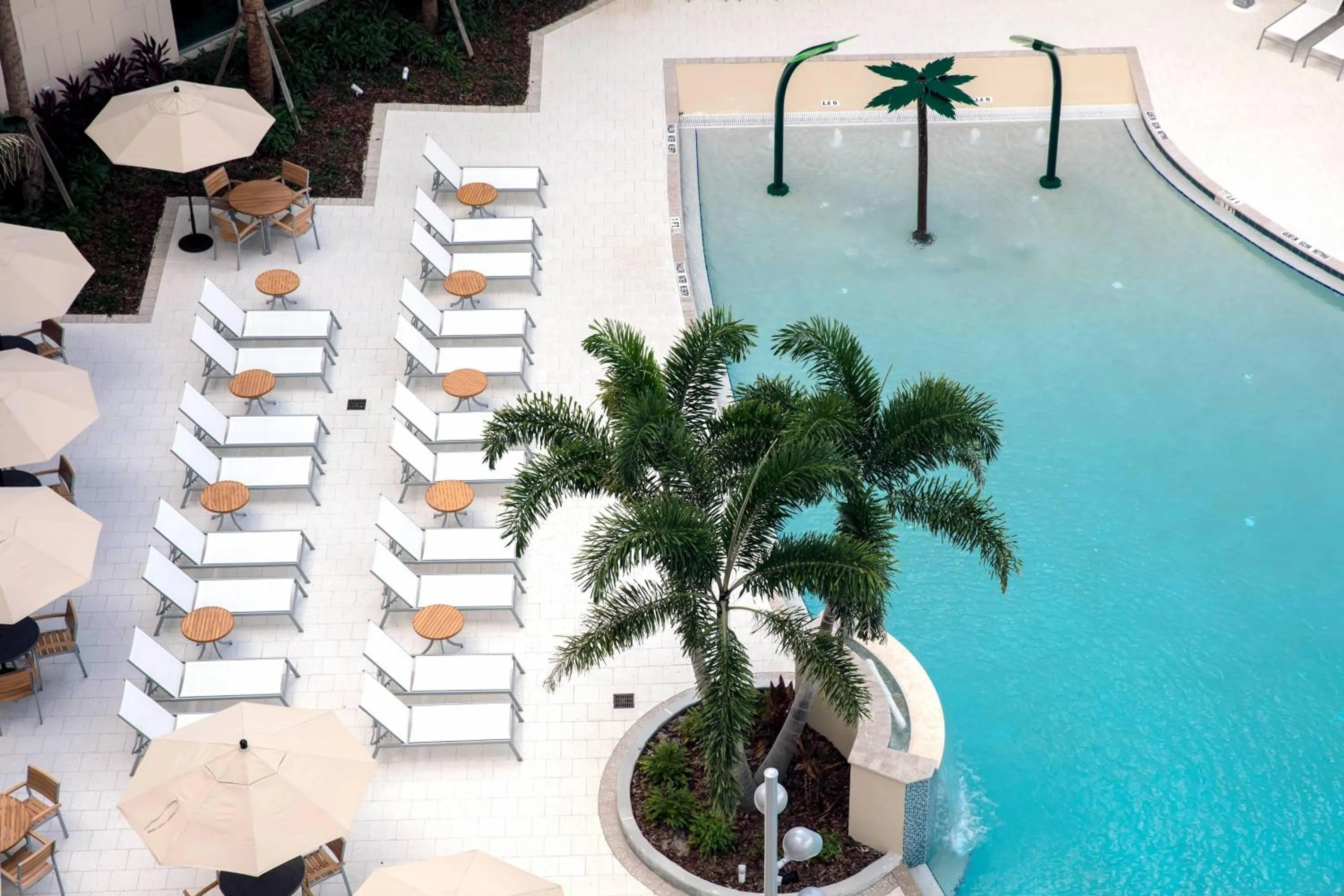 Swimming pool in SpringHill Suites by Marriott Orlando Theme Parks Lake Buena Vista