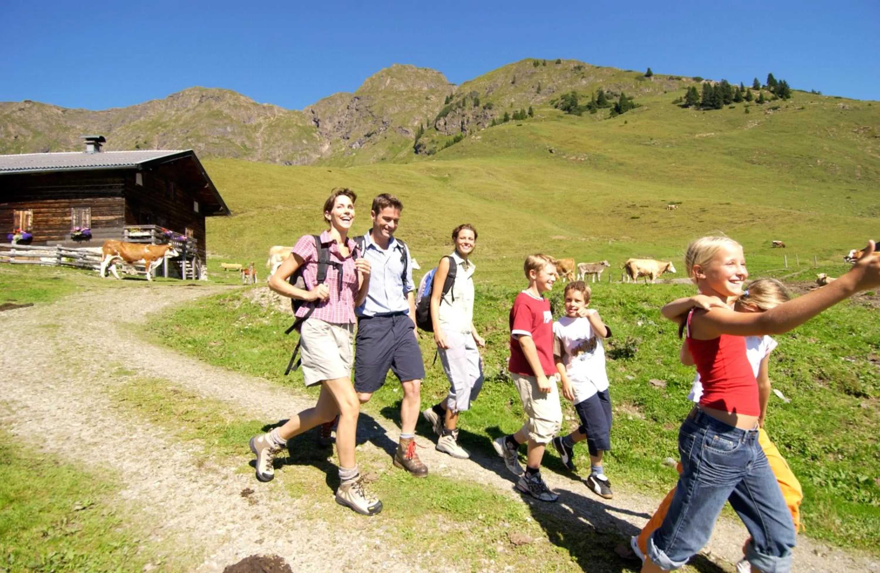 Area and facilities in Thomanhof Chalet-Appartement
