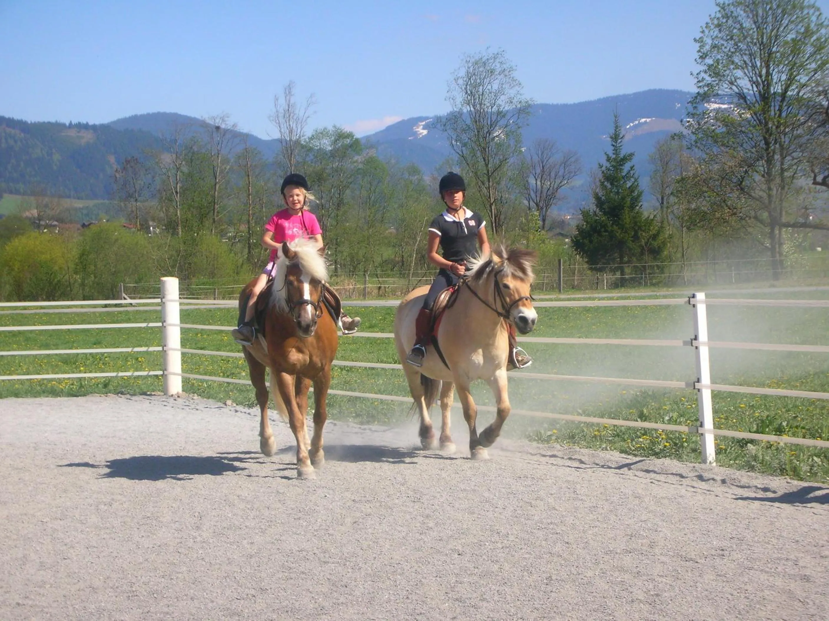 Summer in Thomanhof Chalet-Appartement