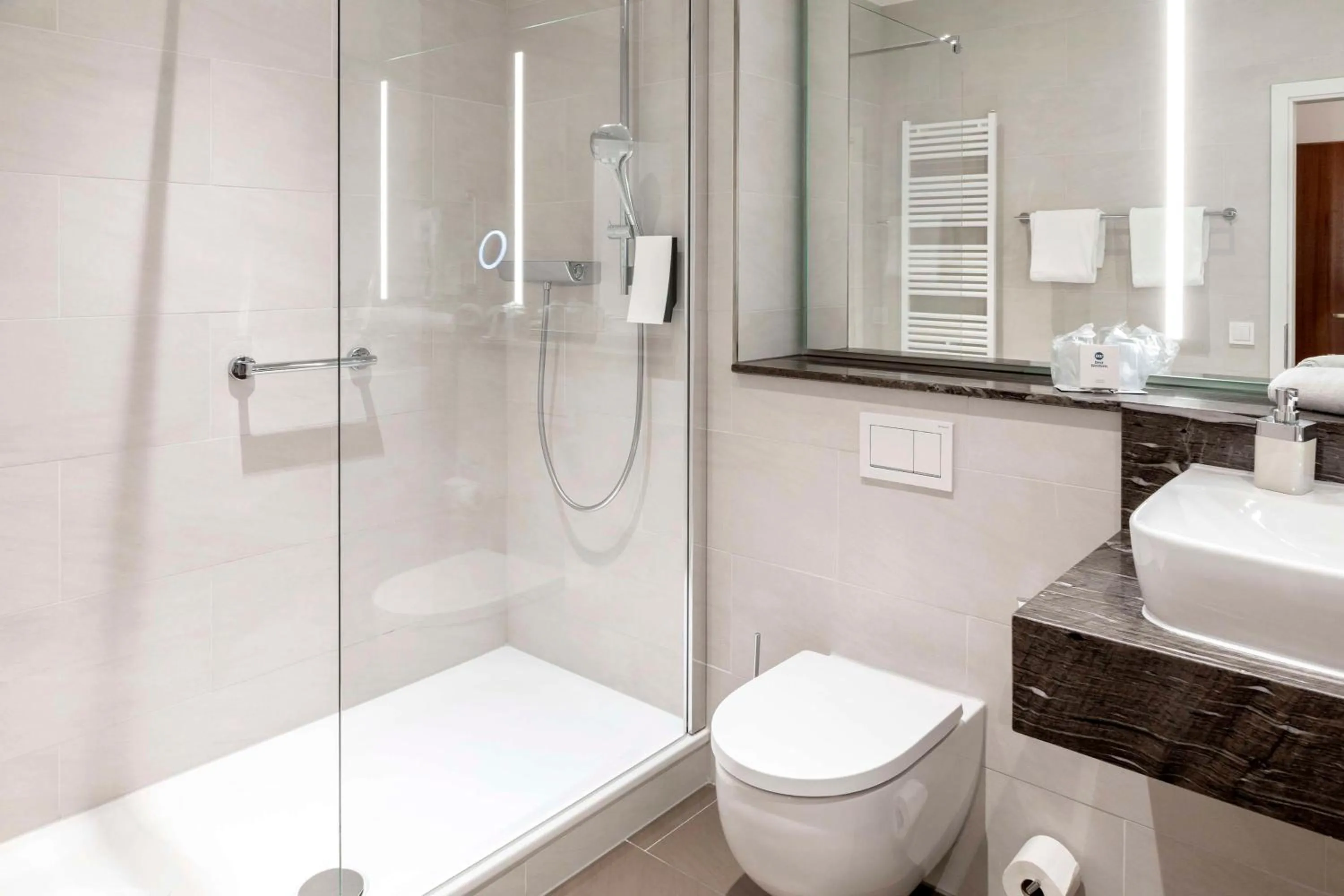 Bathroom in Best Western Hotel Dreiländerbrücke Weil am Rhein / Basel