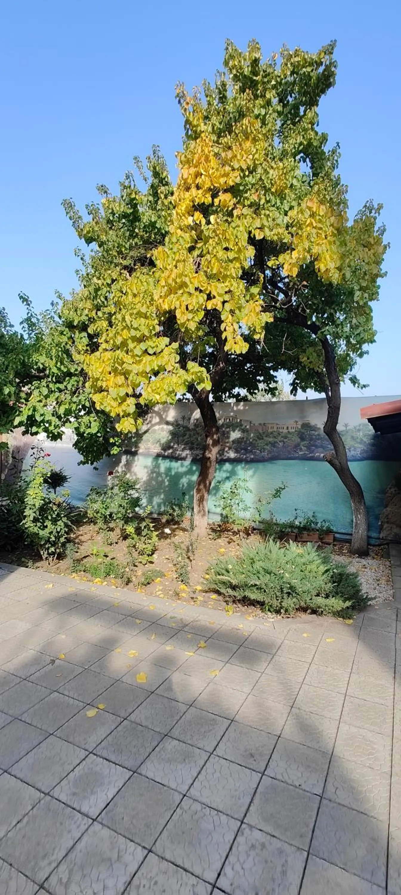 Garden in Areg Hotel