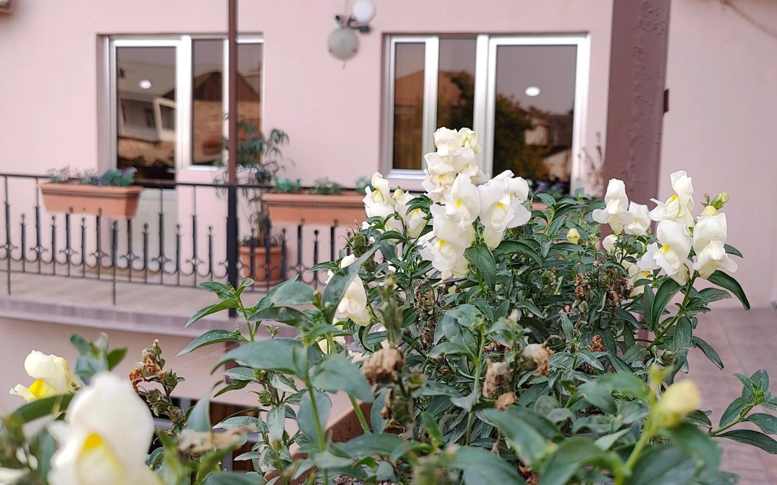 Balcony/Terrace in Areg Hotel