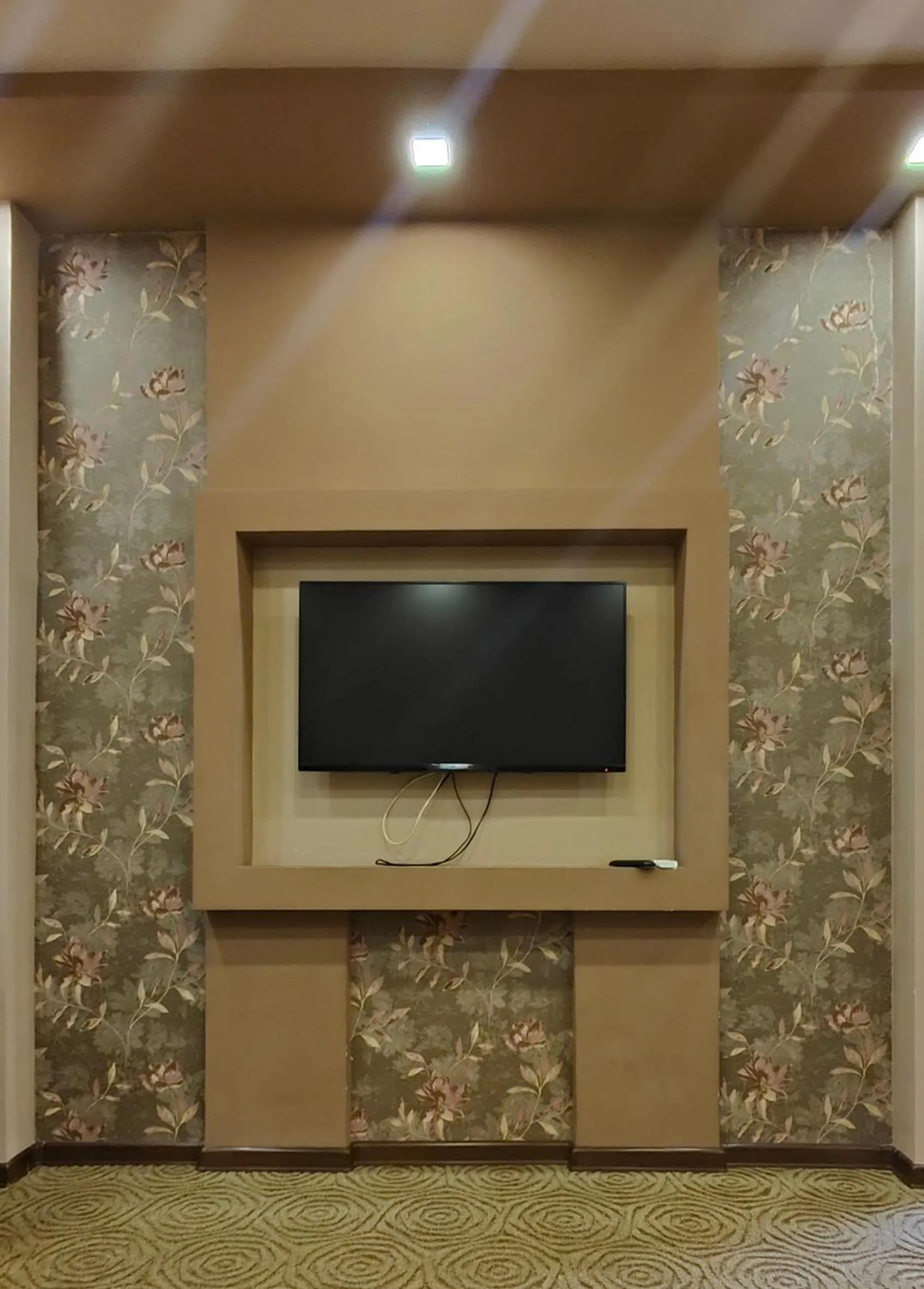 TV and multimedia in Areg Hotel