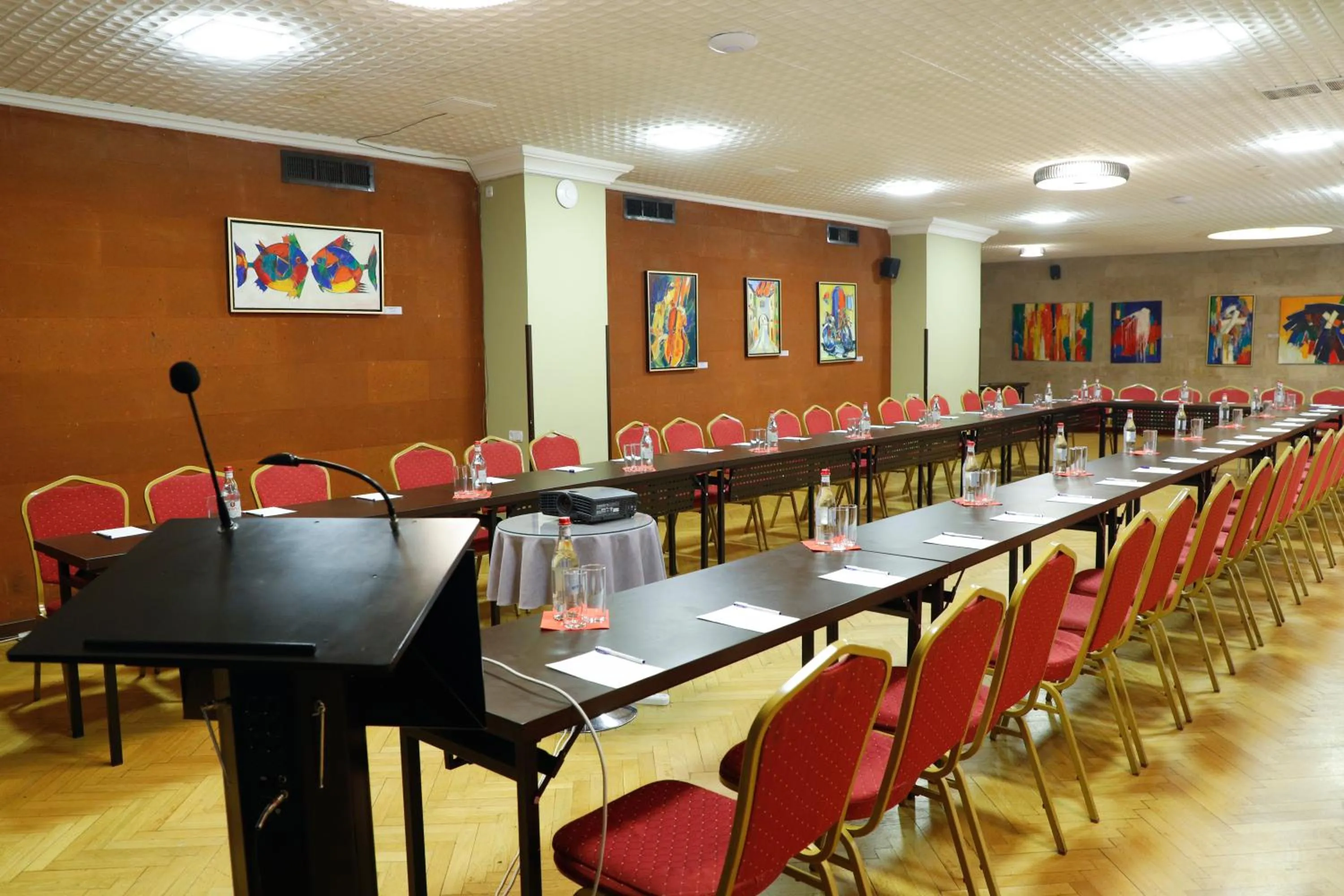 Meeting/conference room in Ani Plaza Hotel