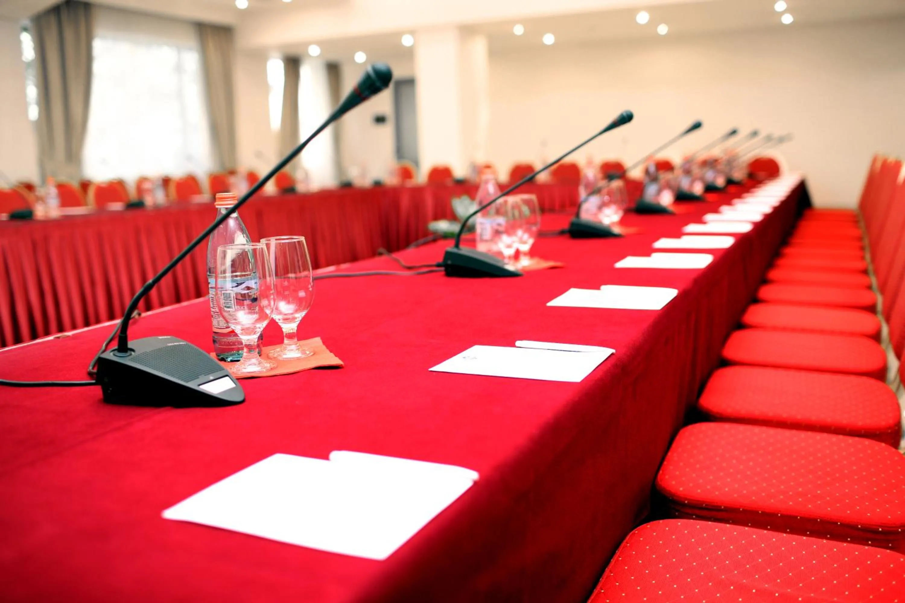 Meeting/conference room in Ani Plaza Hotel