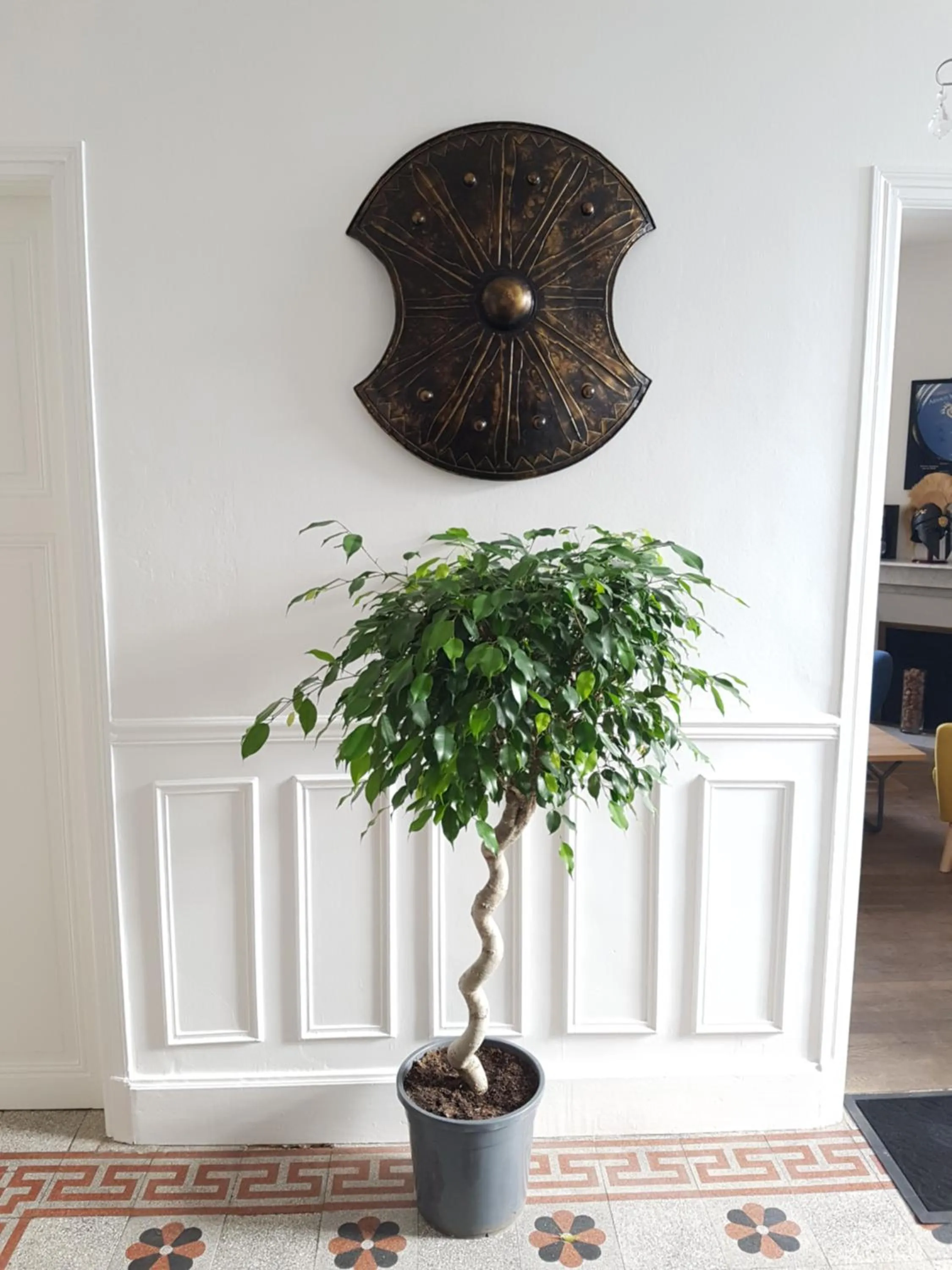 Lobby or reception in L'Iliade - Chambres d'hôtes - B&B à Bouzy
