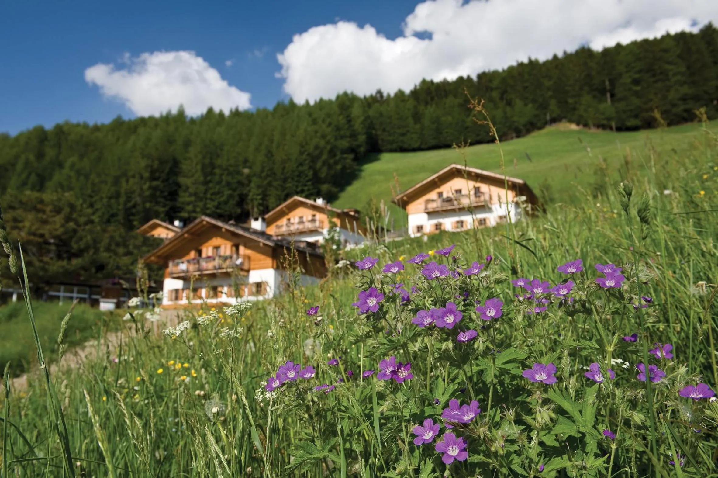 Property building in Taser Alm