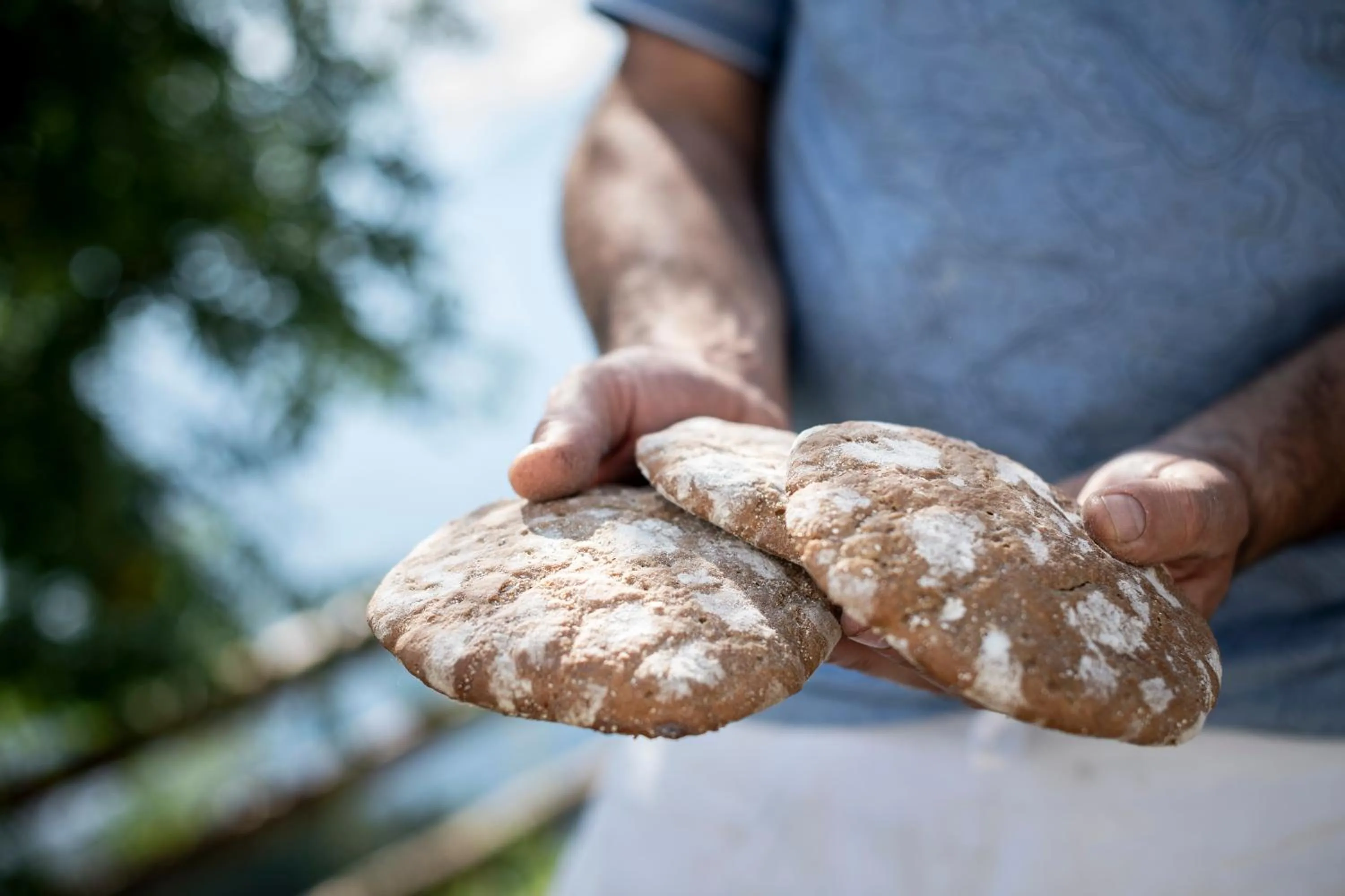 Food close-up in Taser Alm