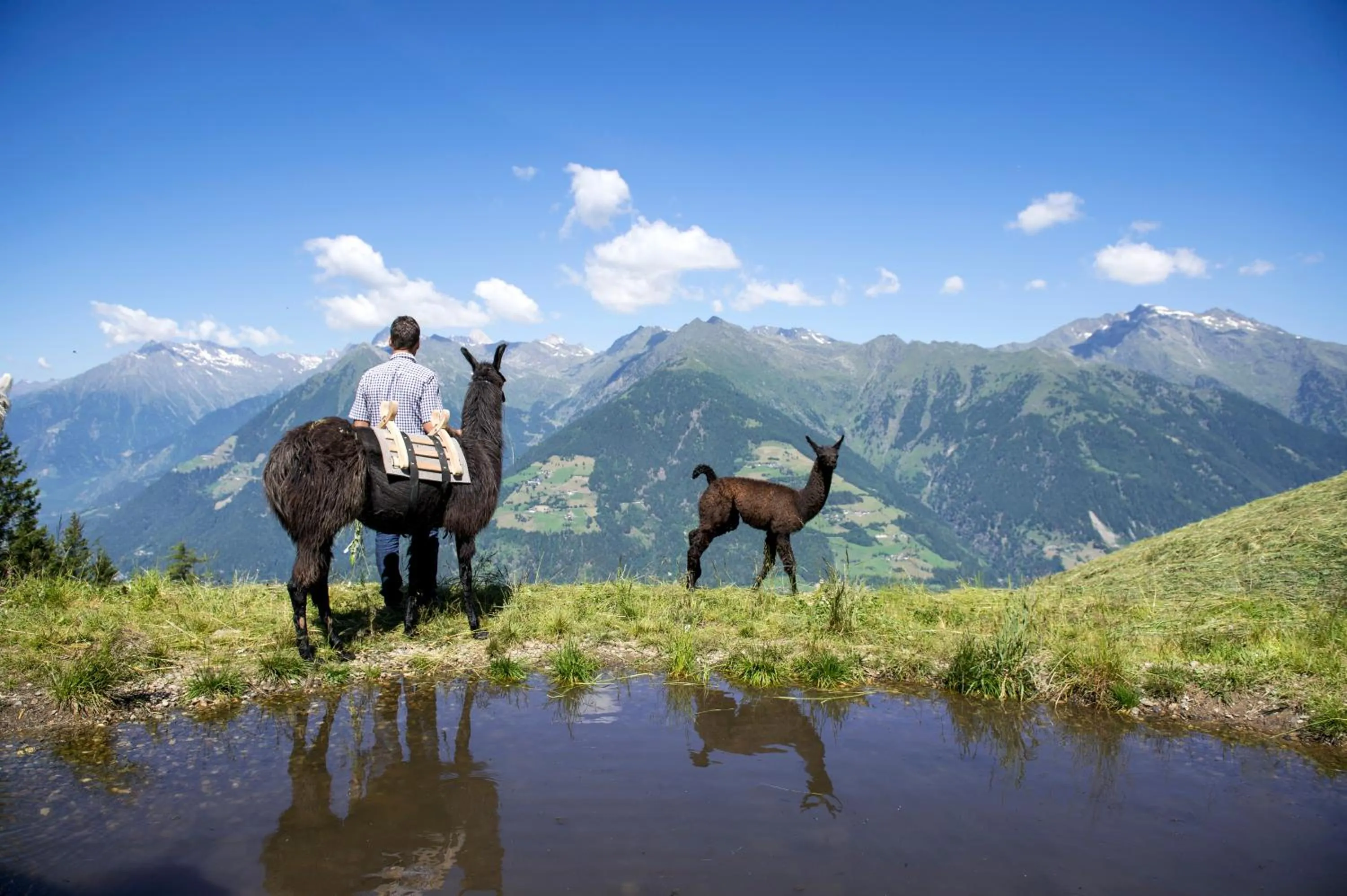 View (from property/room) in Taser Alm