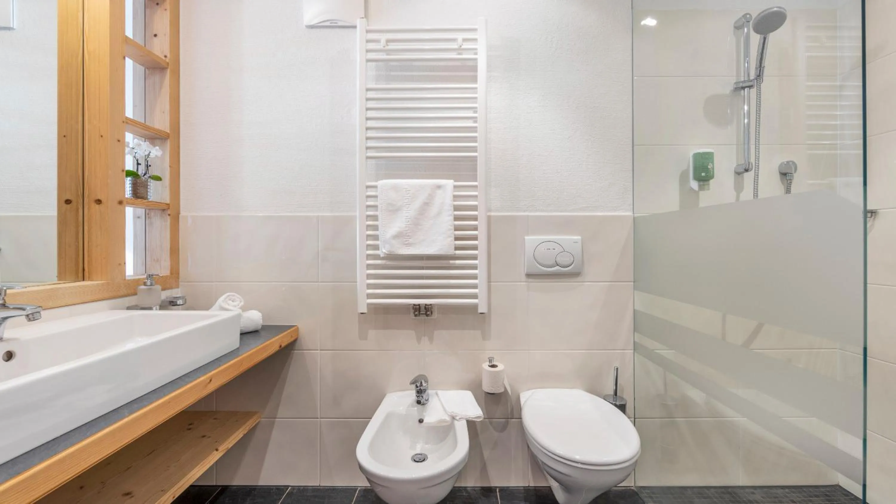 Bathroom in Taser Alm