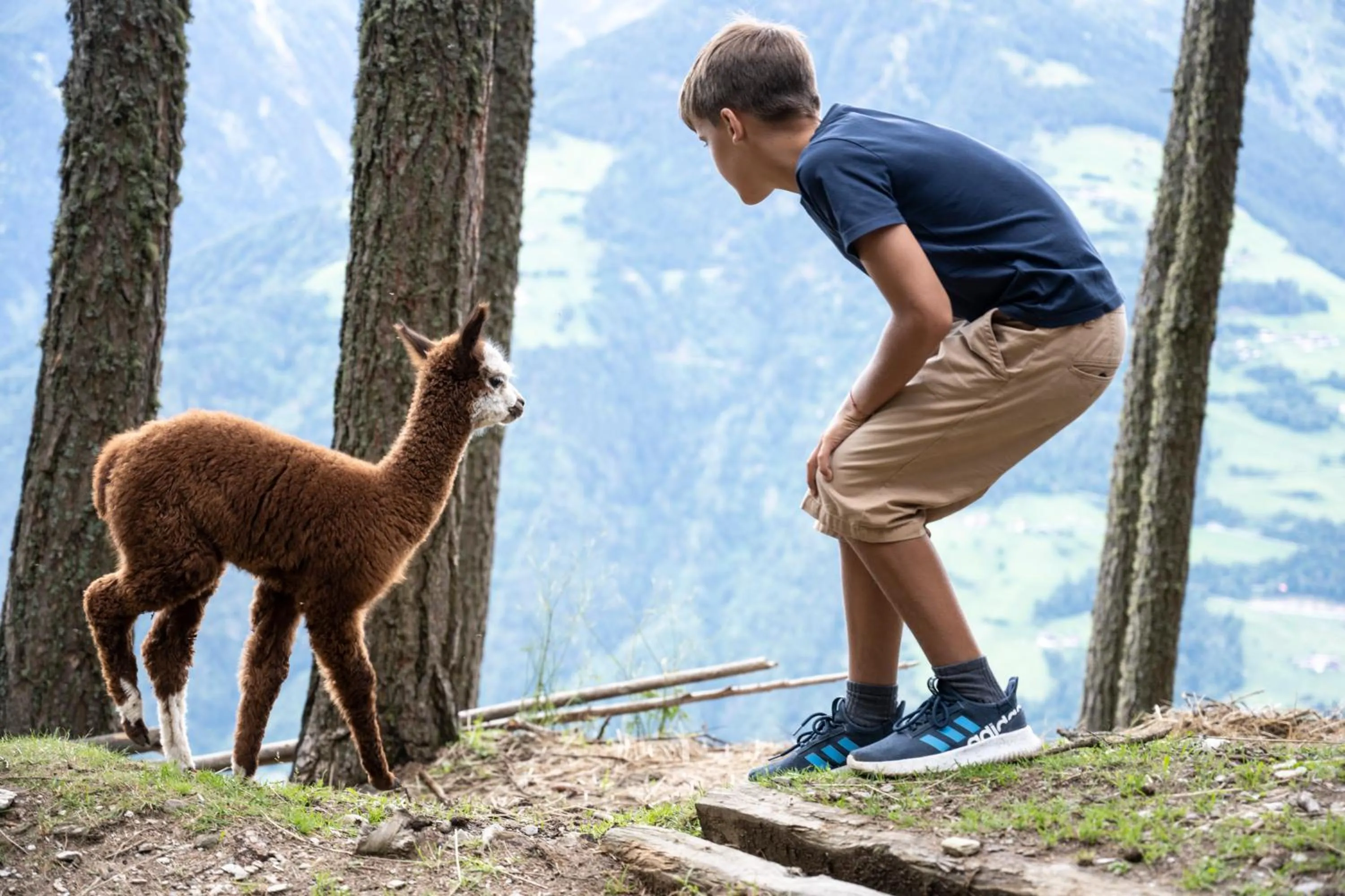 Children play ground in Taser Alm