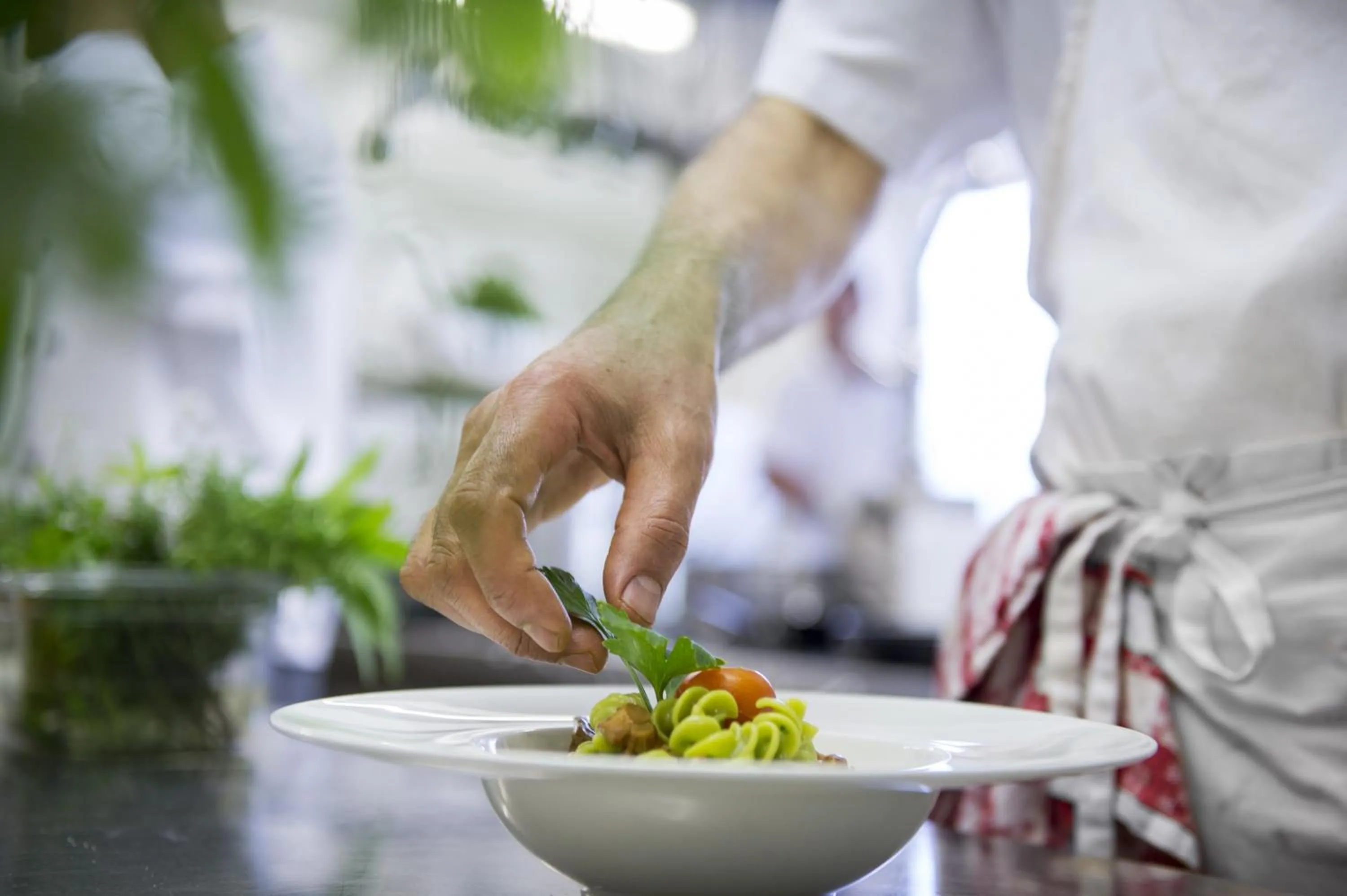 Food close-up in Taser Alm