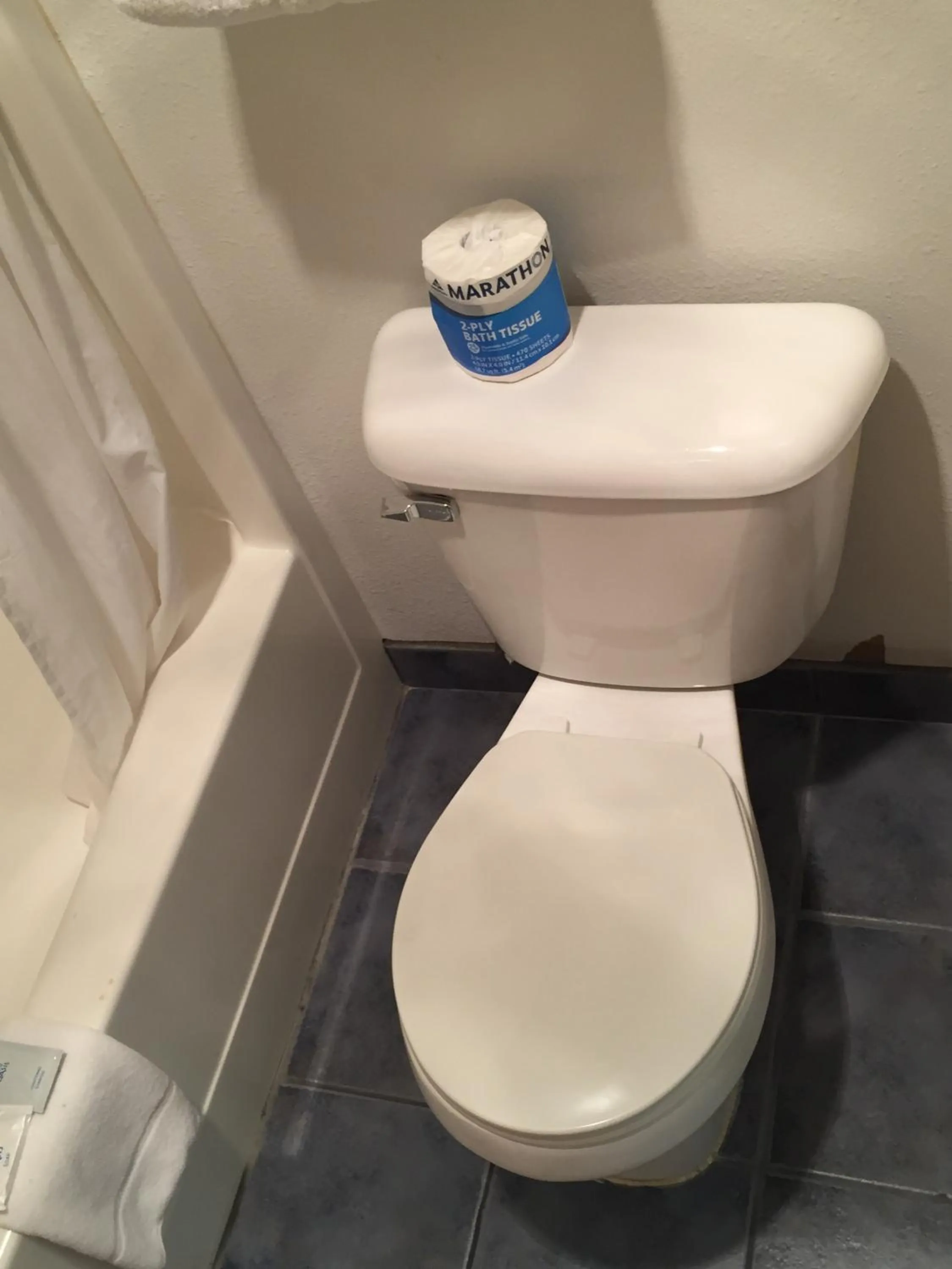 Toilet in Sunshine Motel