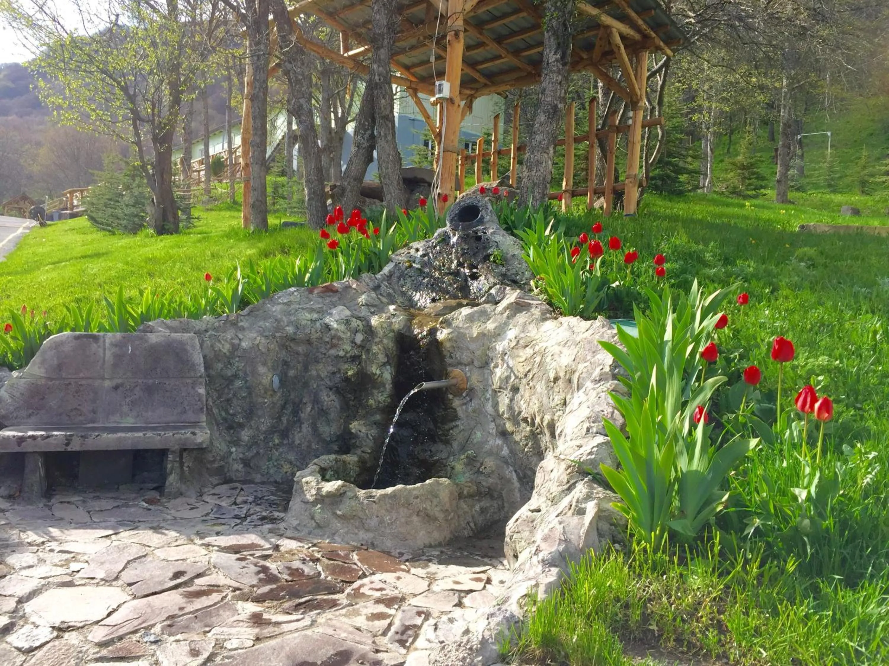 Natural landscape in Alva Hotel & Spa