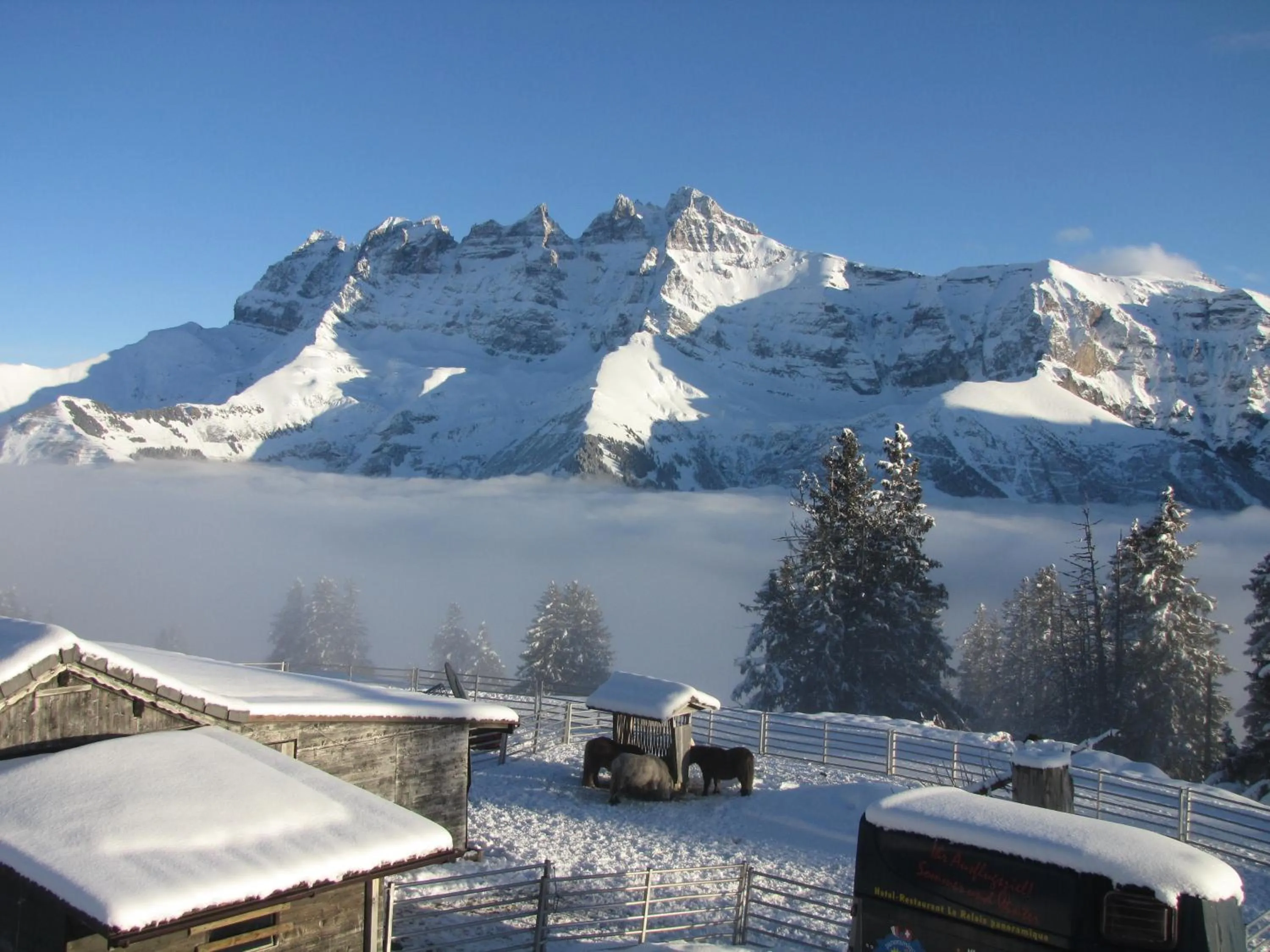 Natural landscape in Hotel-Restaurant le Relais Panoramique