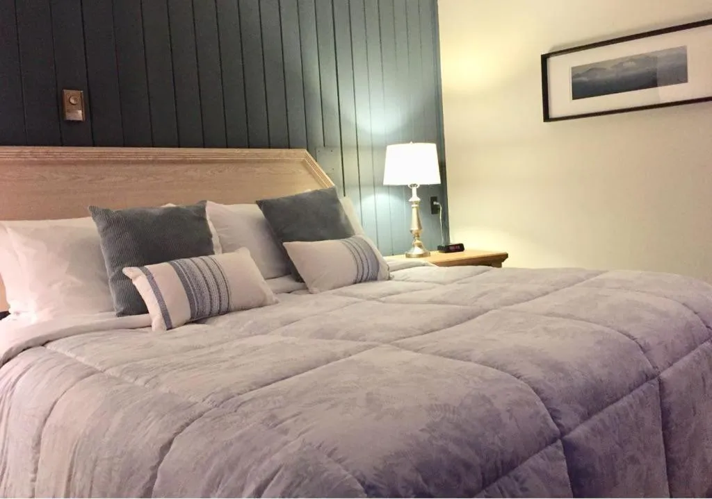 Bed in Piccadilly Motel