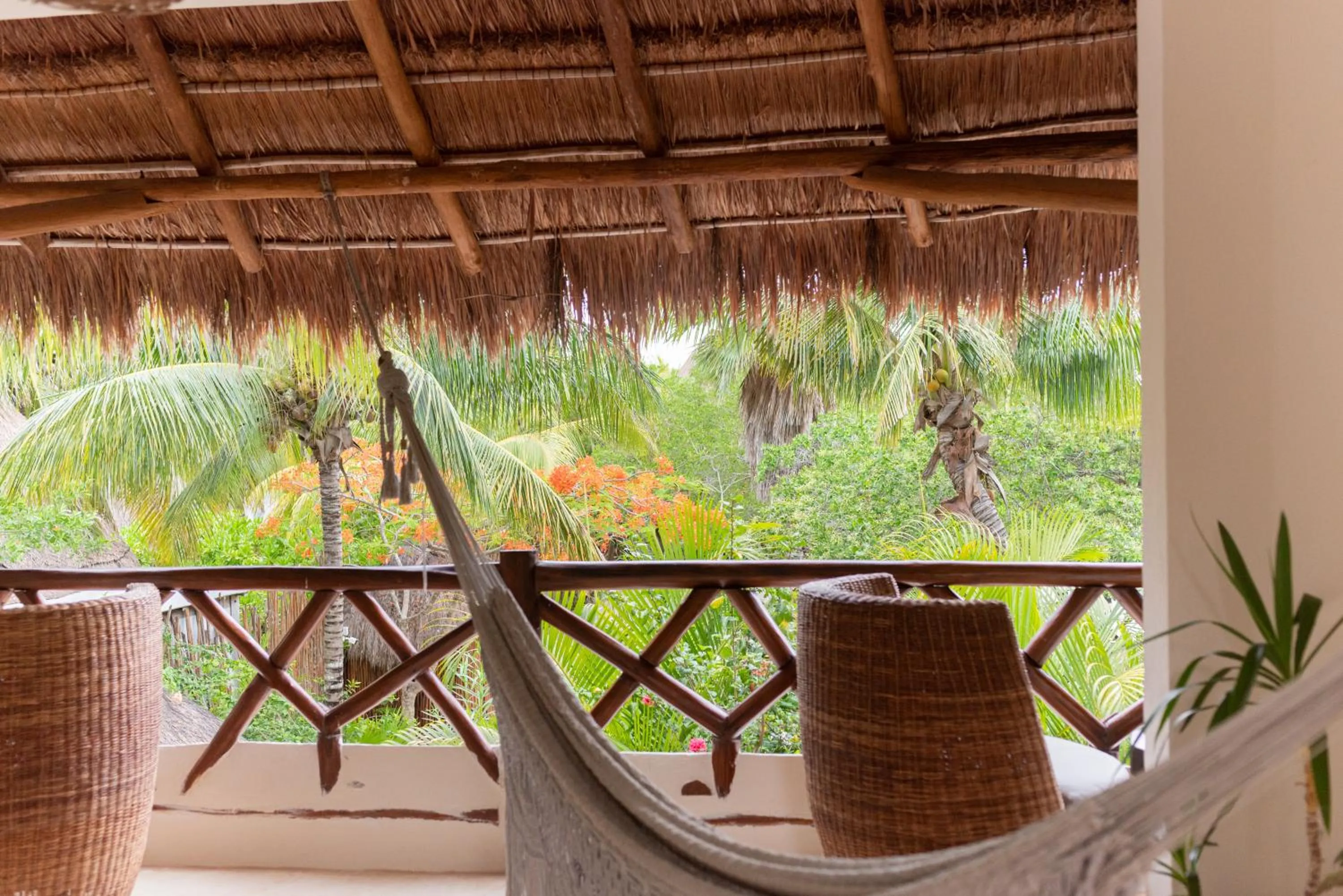 Day in Casa Takywara