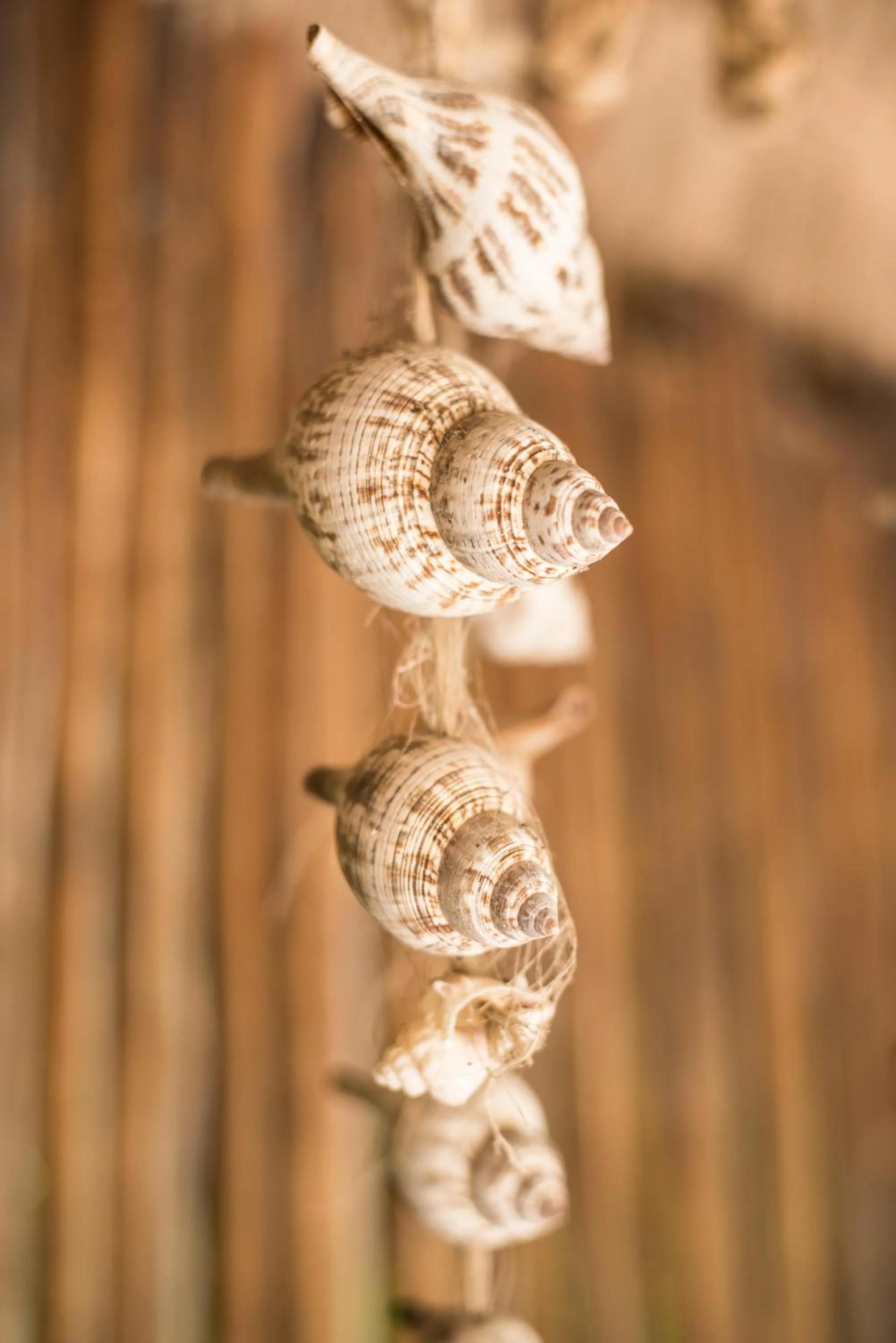 Decorative detail in Casa Takywara