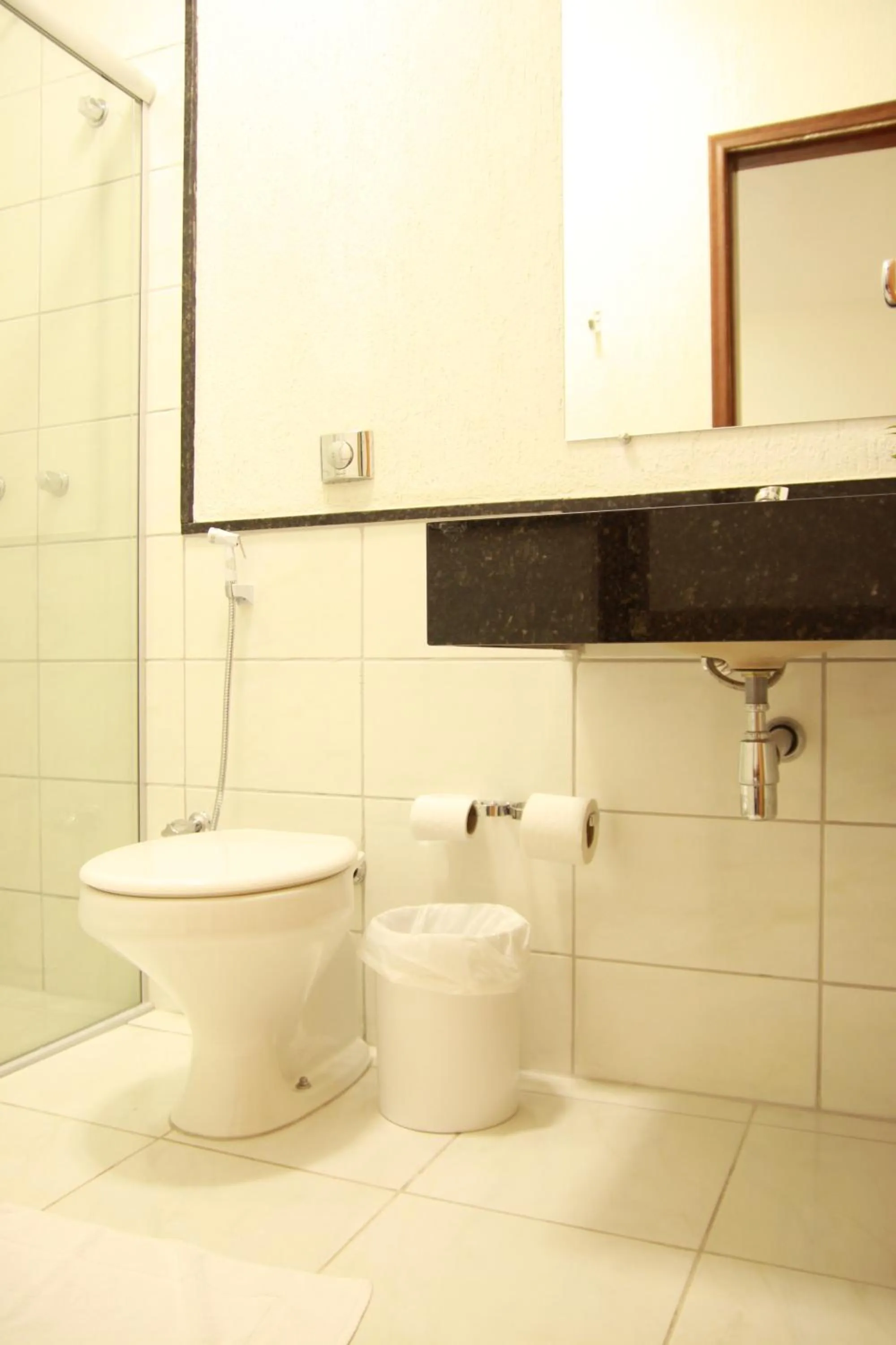 Toilet in Hotel Maraja