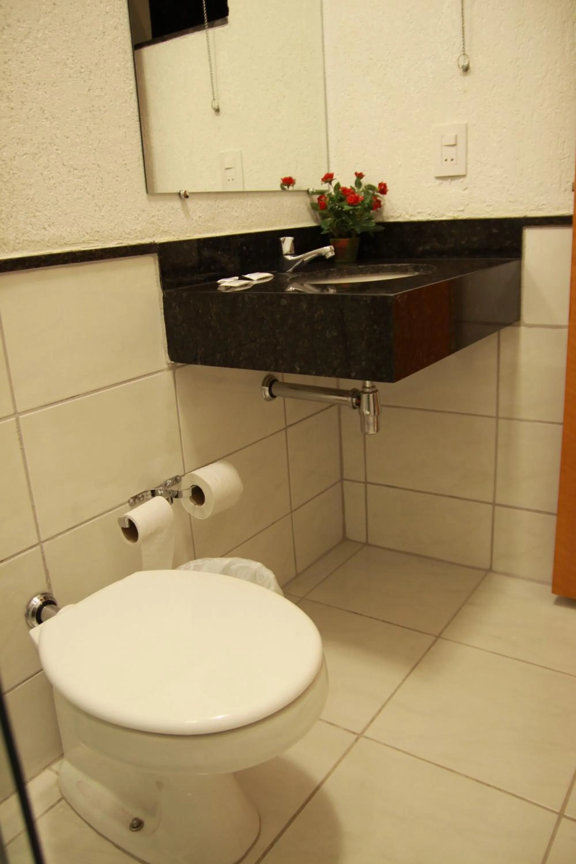 Bathroom in Hotel Maraja