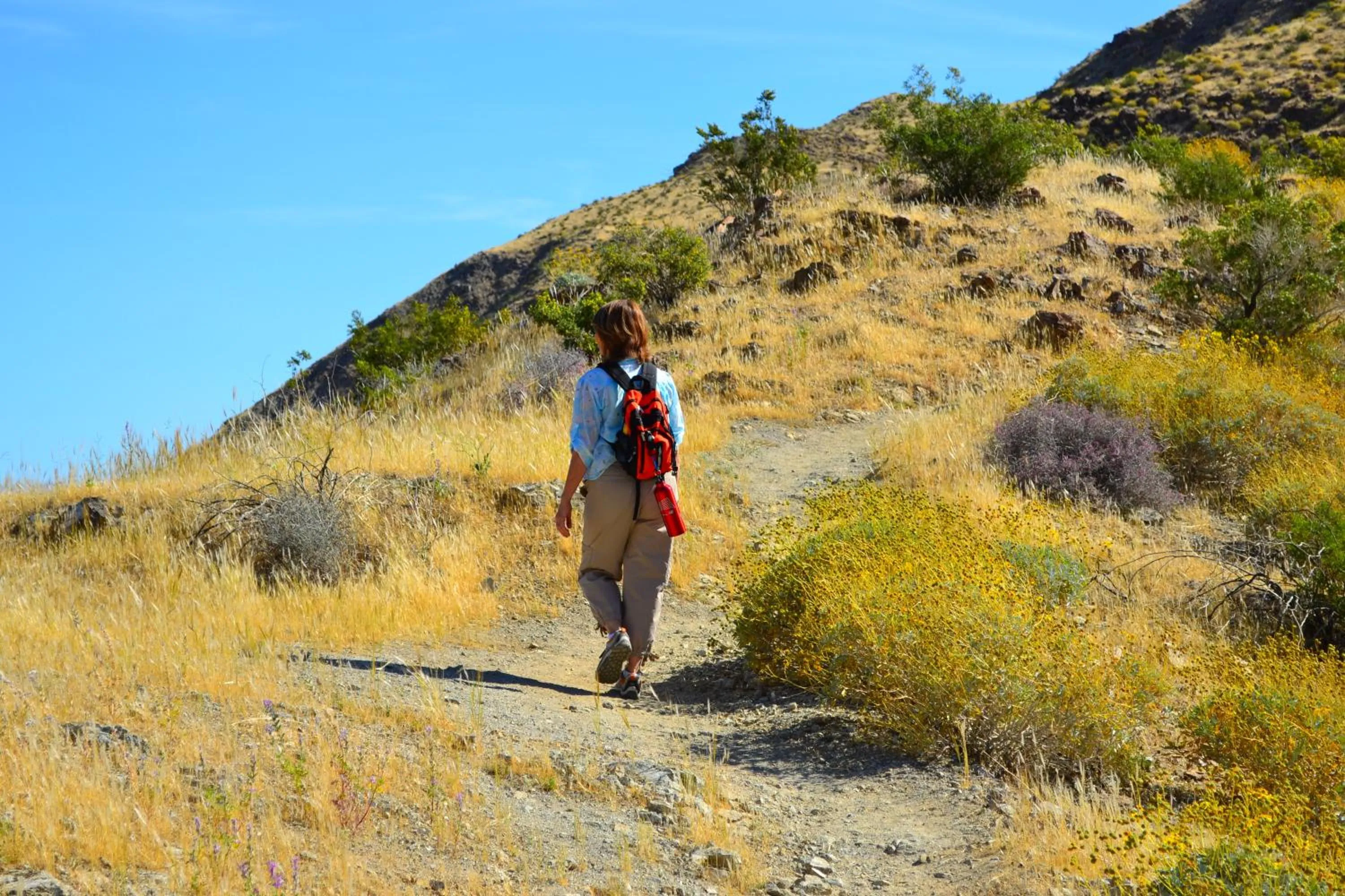 Natural landscape in Sundance Villas by Private Villa Management