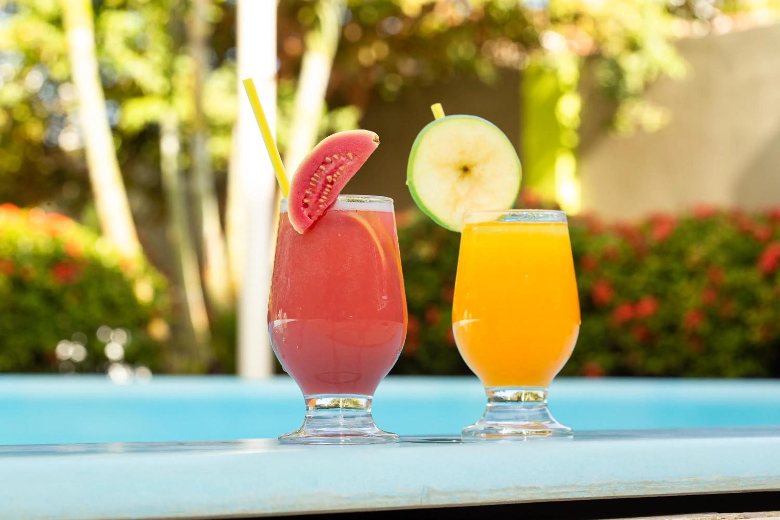 Swimming pool in Pousada o Caribe de Maragogi