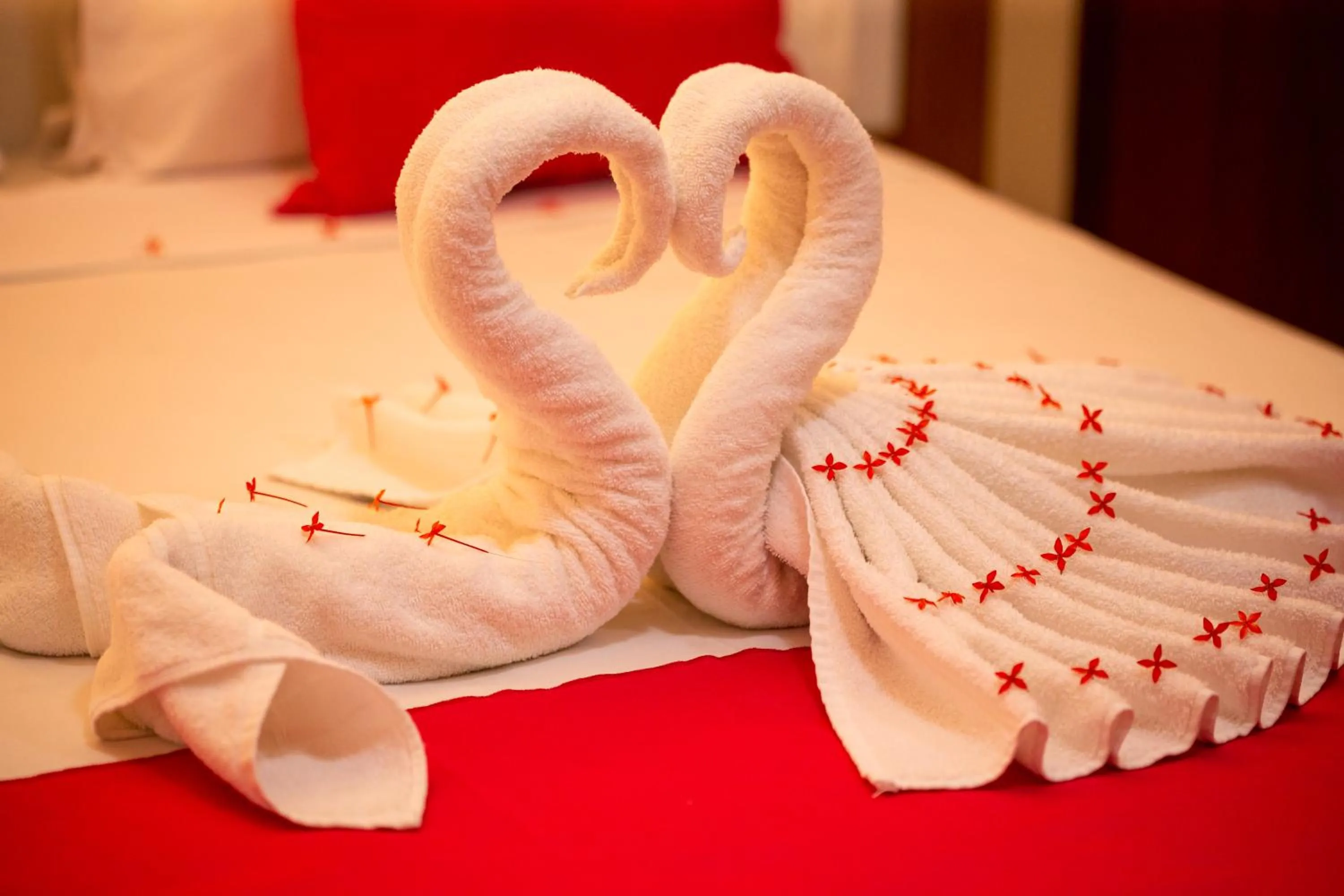 Bed in Pousada o Caribe de Maragogi