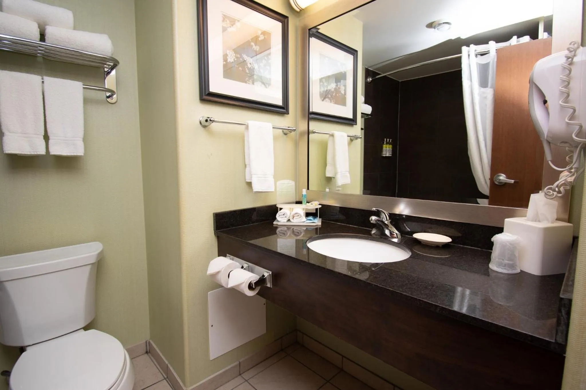 Bathroom in Holiday Inn Express and Suites Dawson Creek, an IHG Hotel